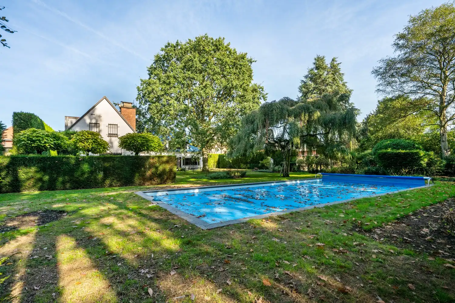 Ruime villa met 5 slpkrs, zwembad en handelsruimte op perceel van 3383m² te Berlaar foto 4
