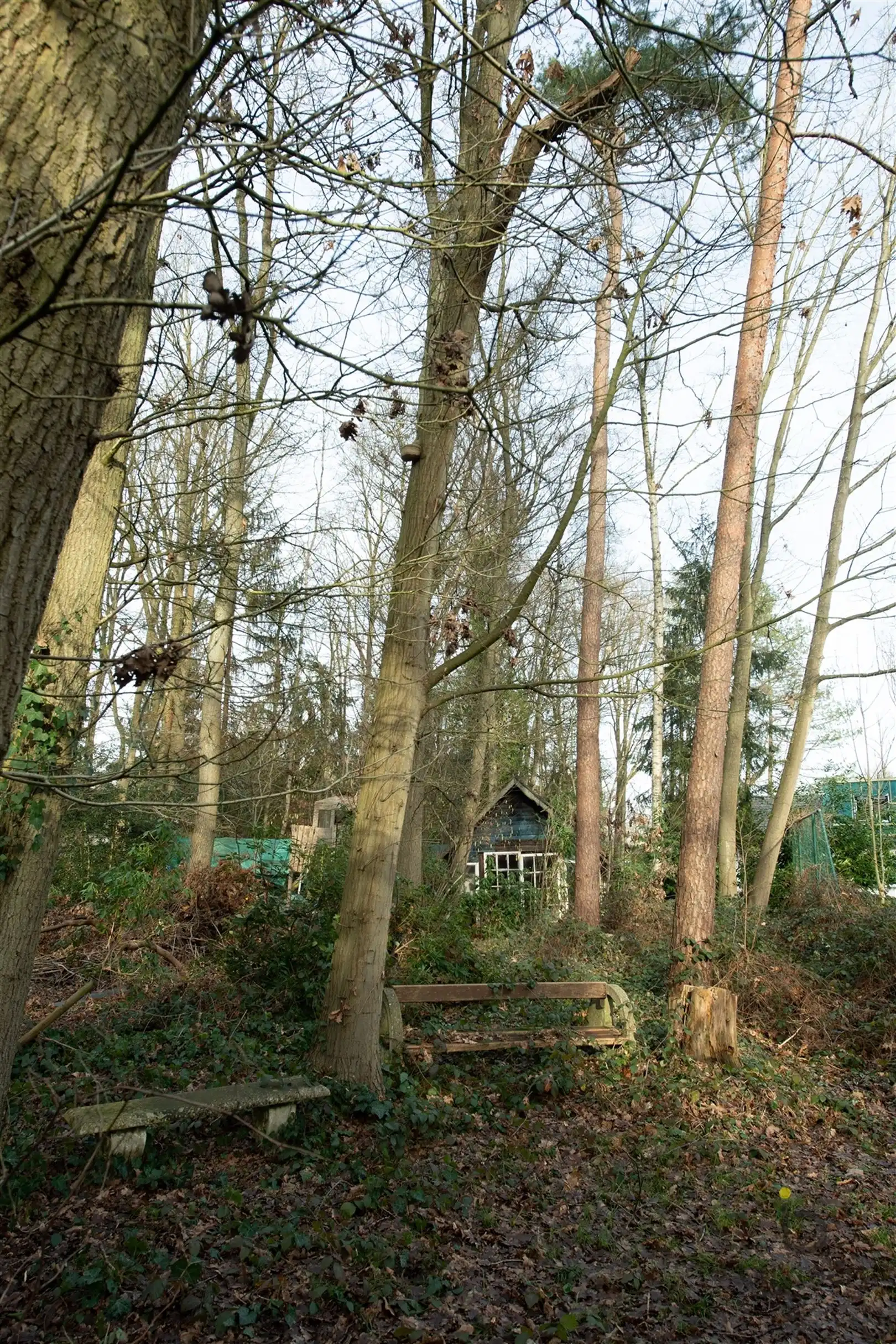 Veel renovatiepotentieel in ruime rustig gelegen familiewoning midden in het groen! foto 52