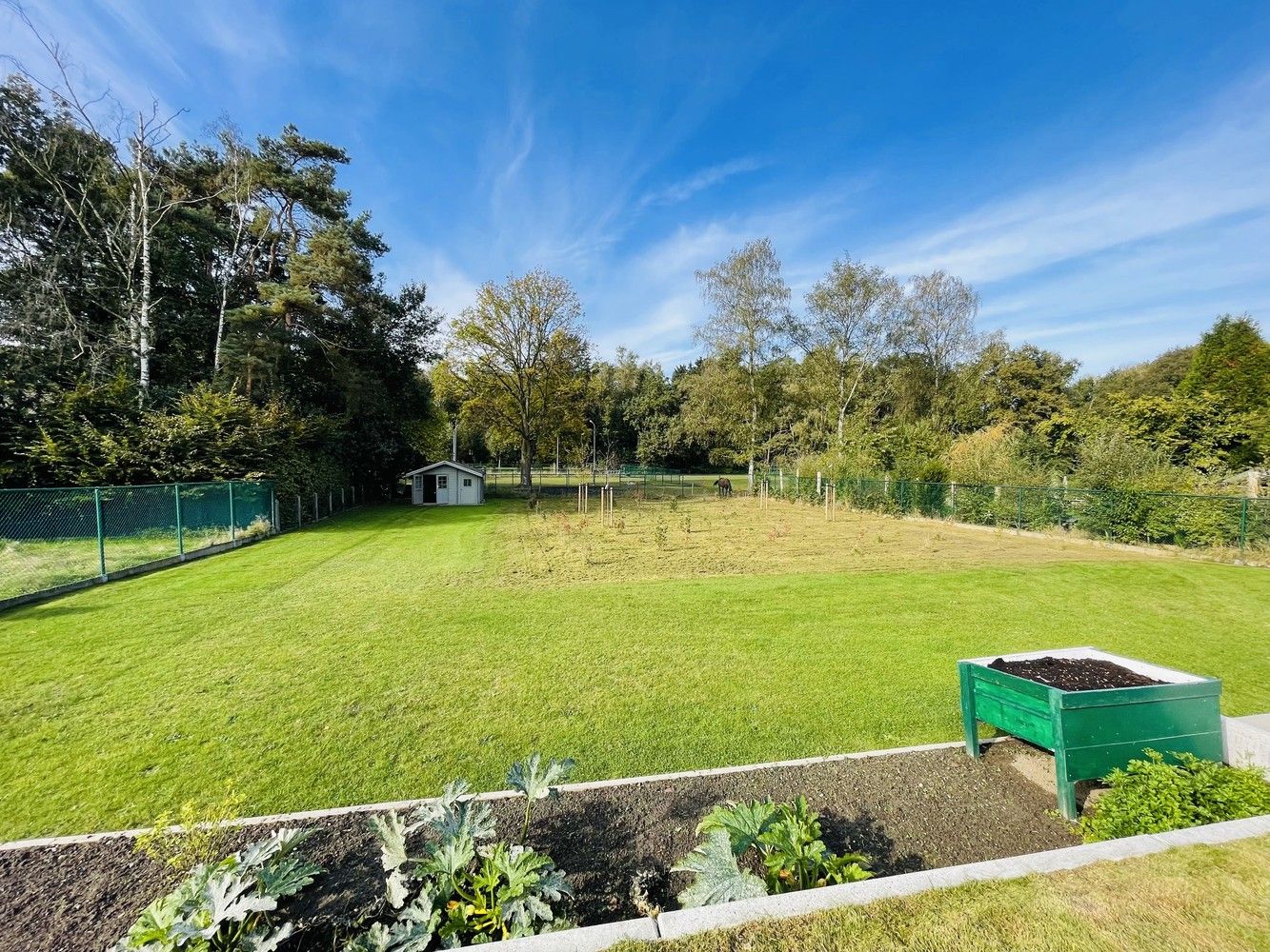 Hoogwaardig gerenoveerde woning met verzorgde tuin foto 3