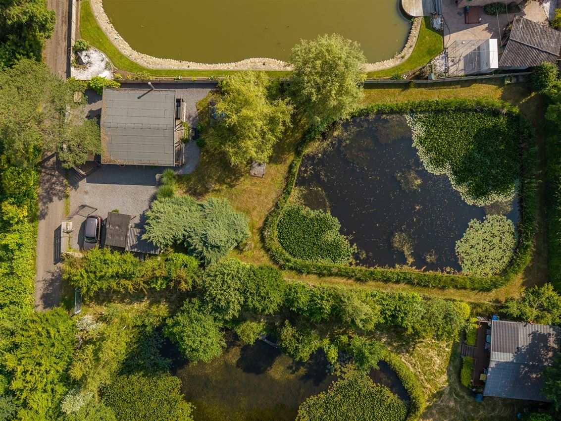 Knusse chalet op 15 are in bosrijk Herselt met vijver, terras en carport. Ideaal vakantieverblijf in het groen. foto 4