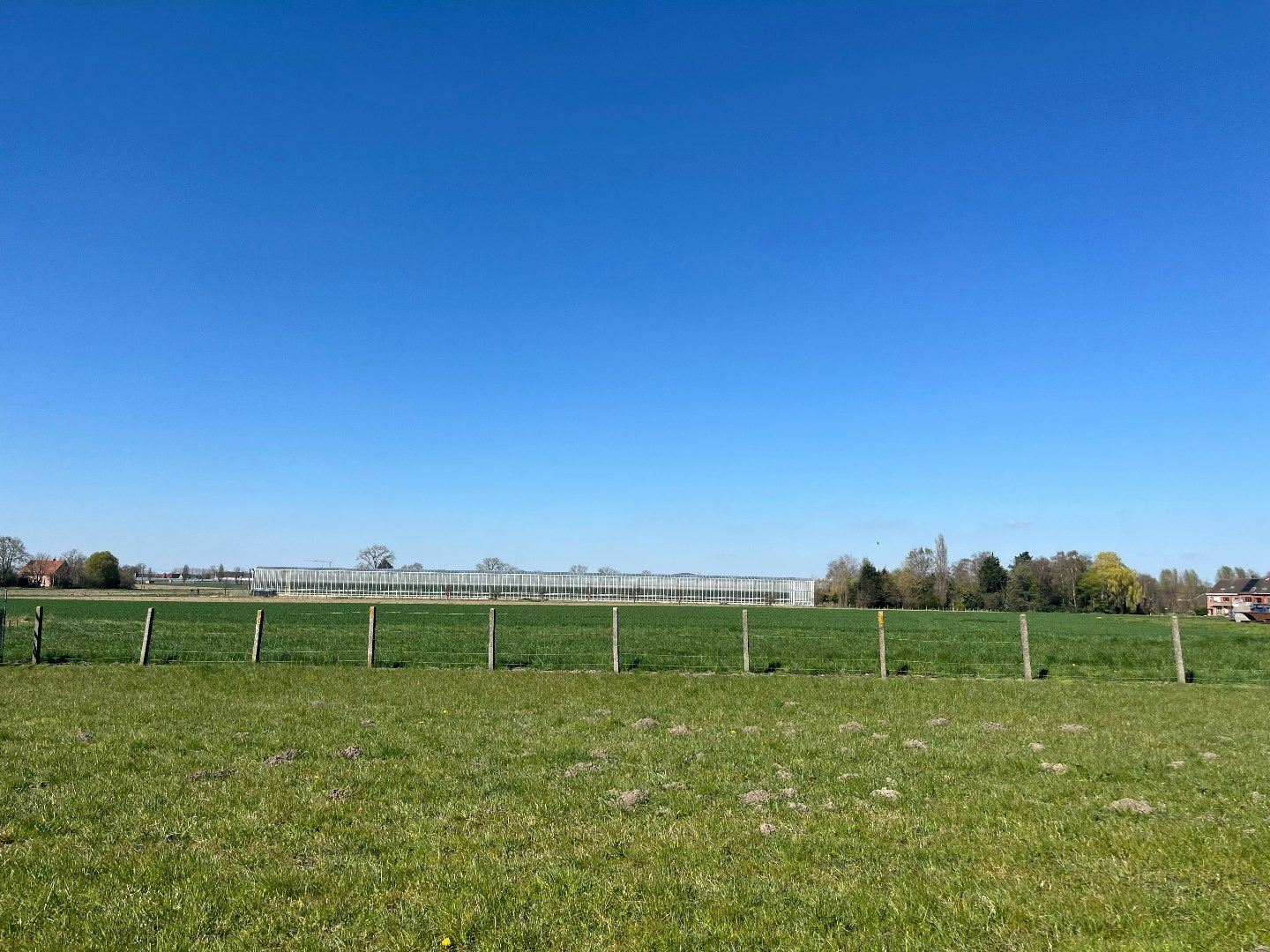 Halfopen woning op prachtig perceel (697m²) te Ingelmunster. foto 3
