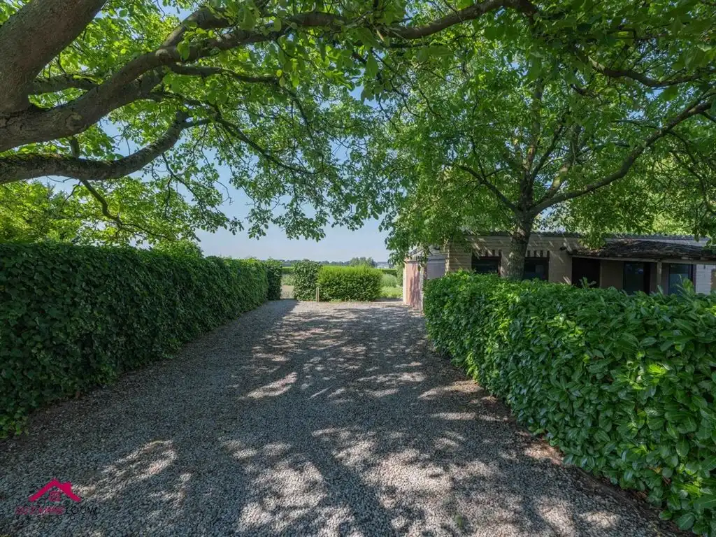 Huis foto 18