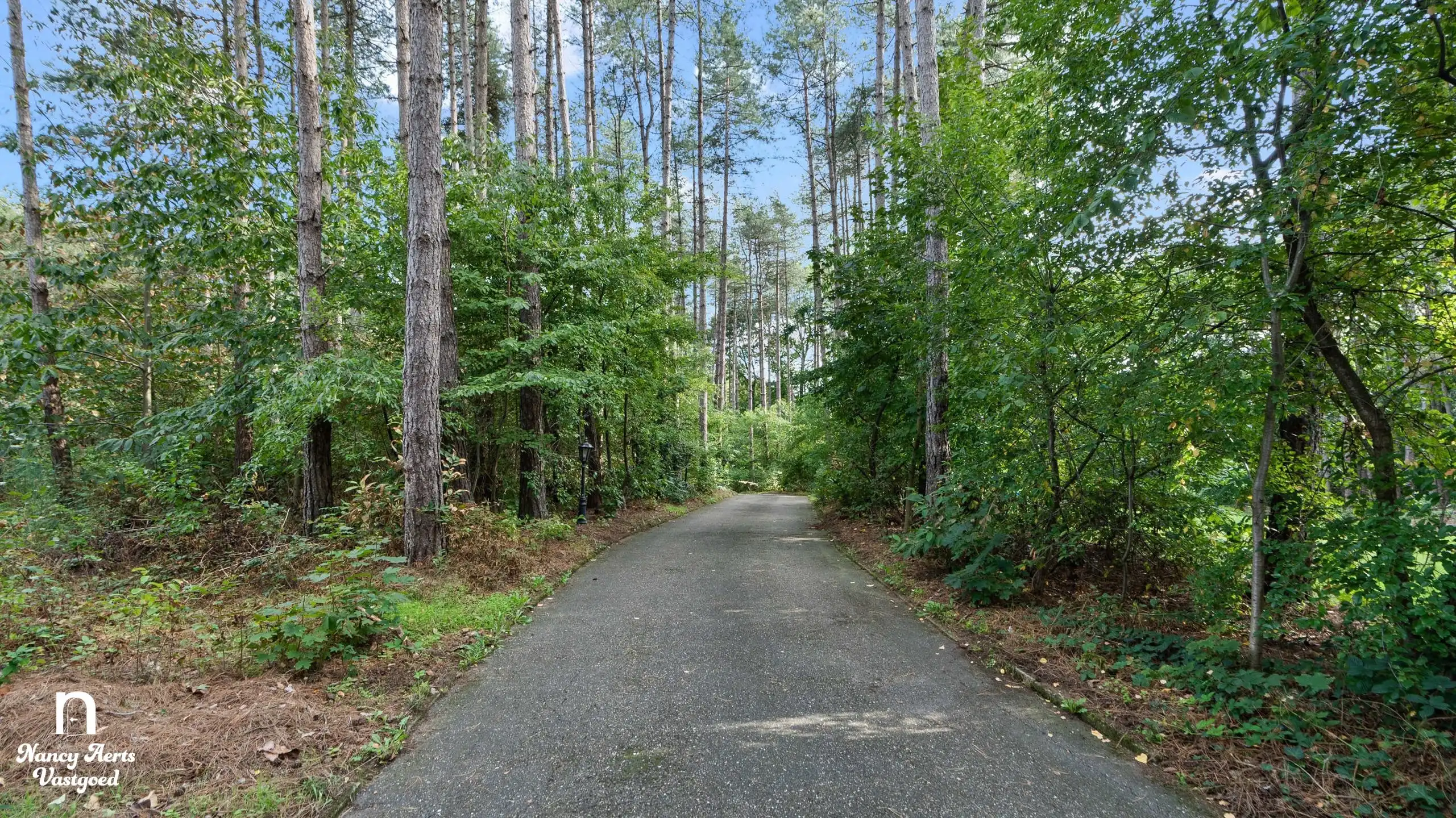 Exclusief landgoed op 1,28 ha met villa en paardenstallen foto 31