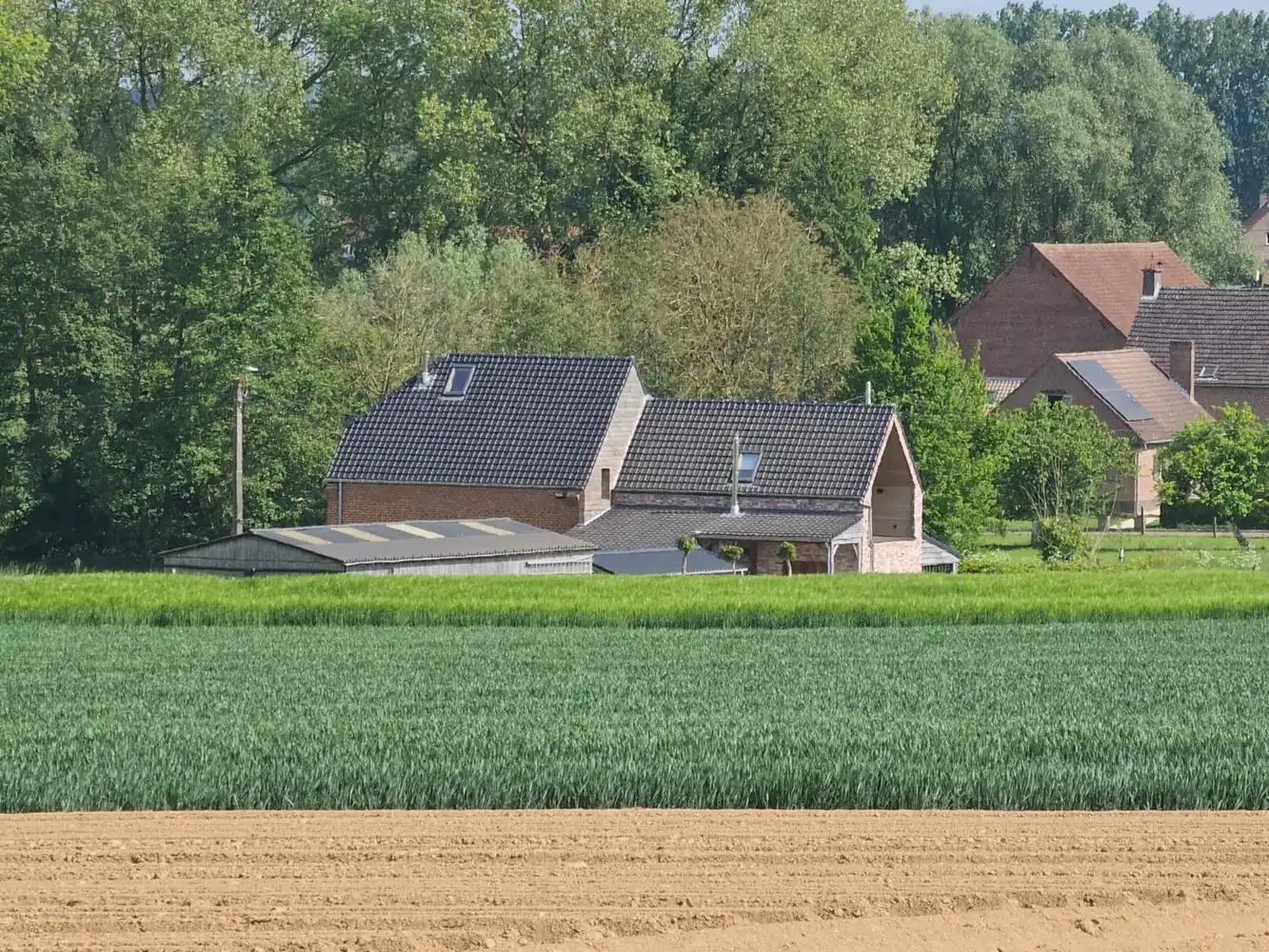 Uiterst rustig gelegen landhuis foto {{pictureIndex}}