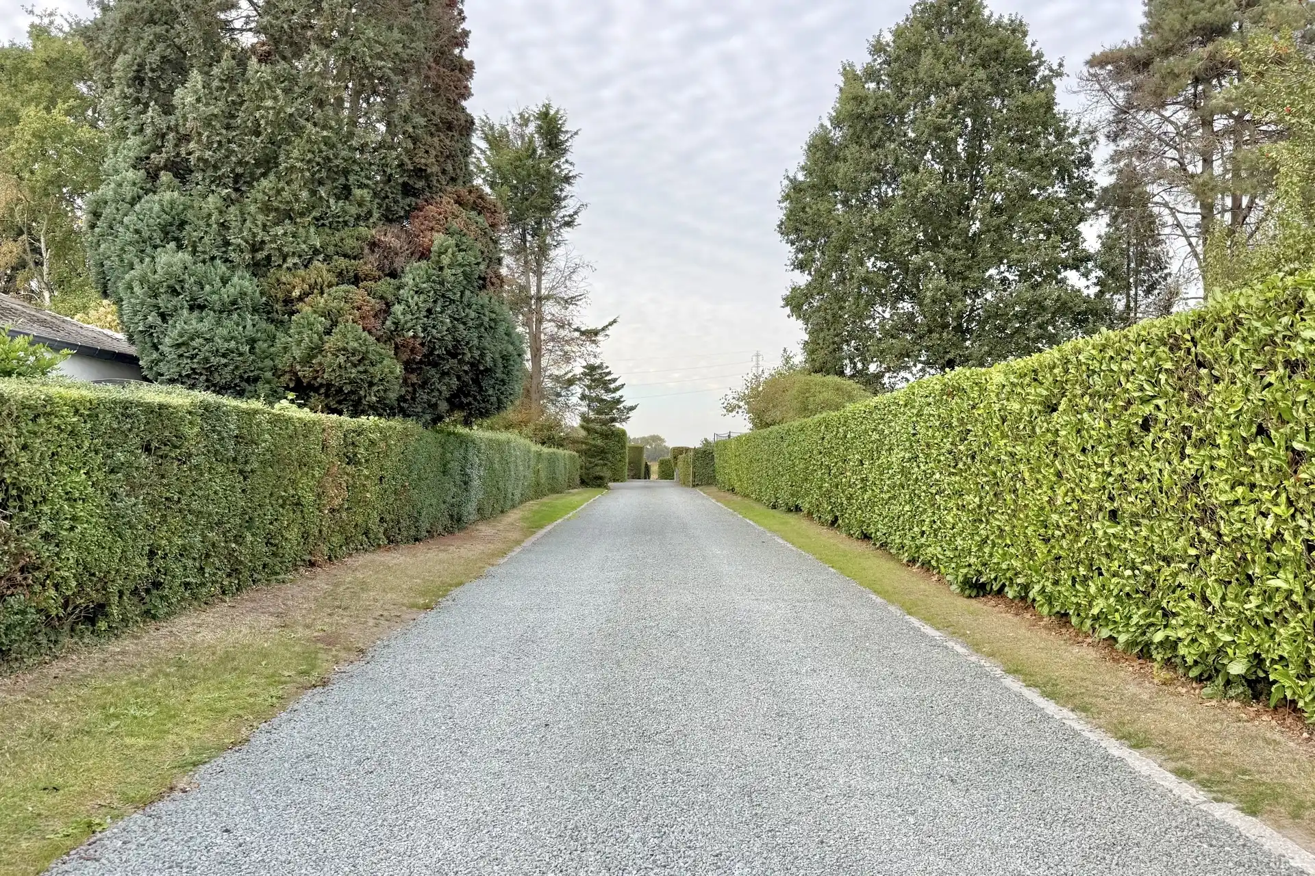 Ruime bungalow in het groen foto 4
