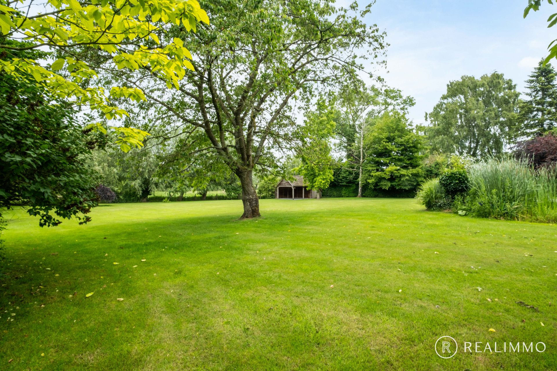Wonen in alle rust op meer dan 1,2 hectare! foto 20