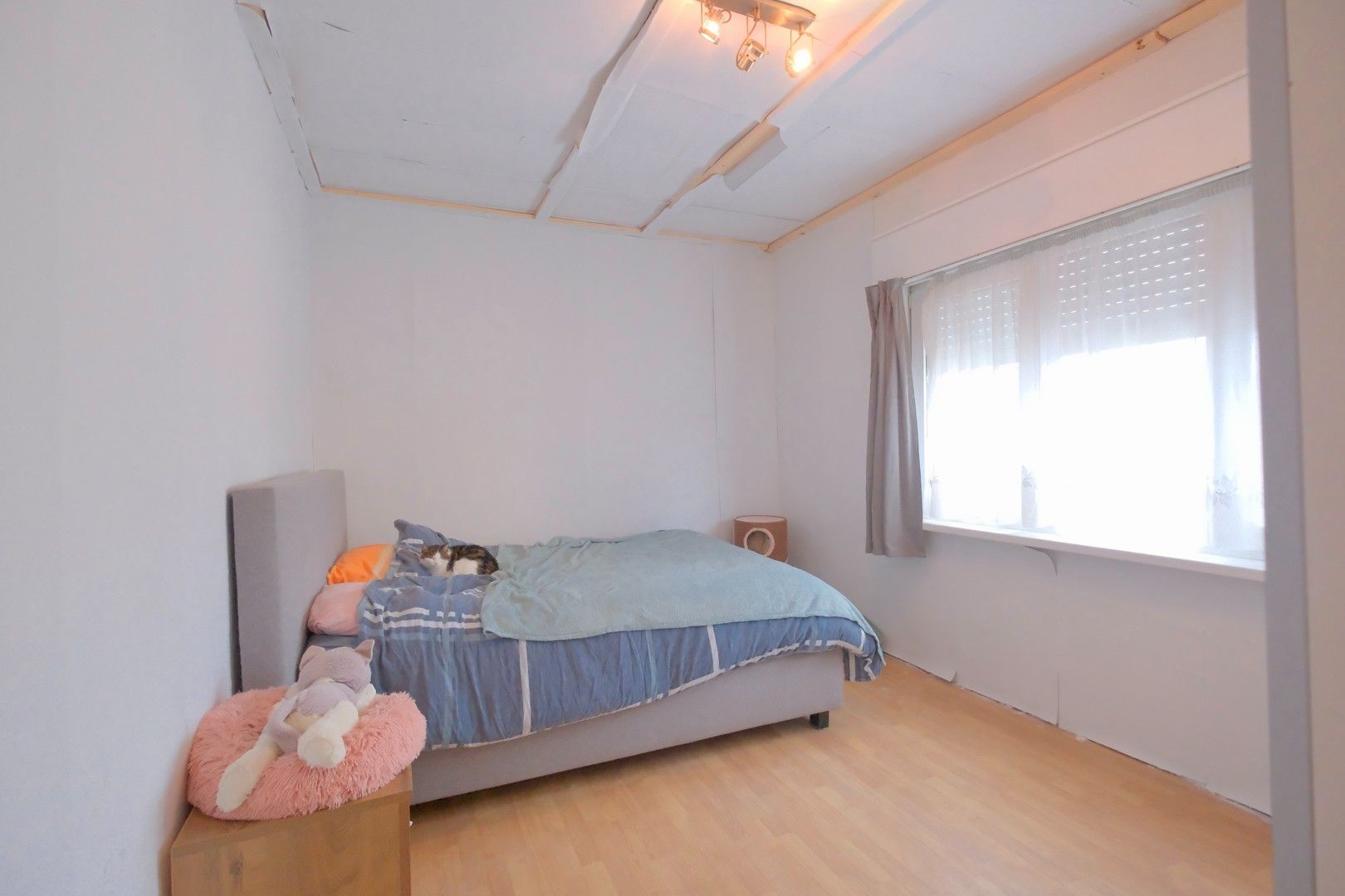 Assenede - Halfopen bebouwing met 3 slpks, tuin en EPC D foto 8