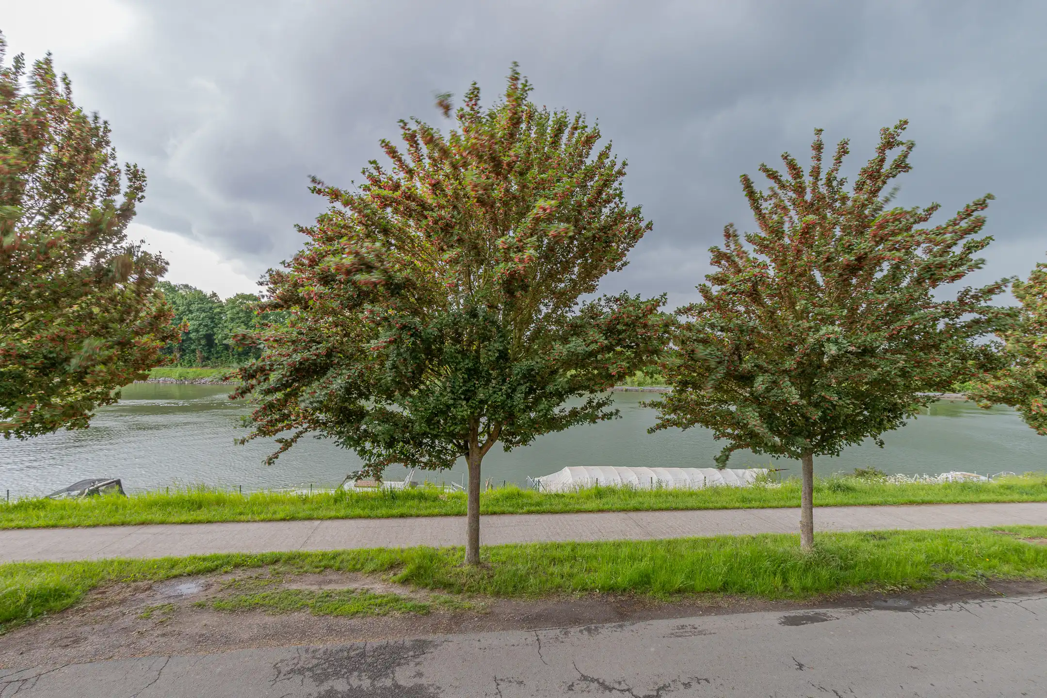 GRIMBERGEN-Gerenoveerde woning zonder tuin/koer aan de vaart foto 18