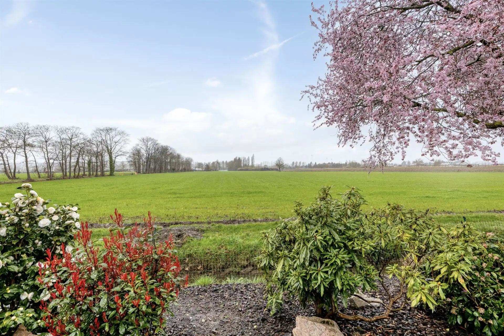 Instapklare woning met 3 slaapkamers en tuin.  foto 26