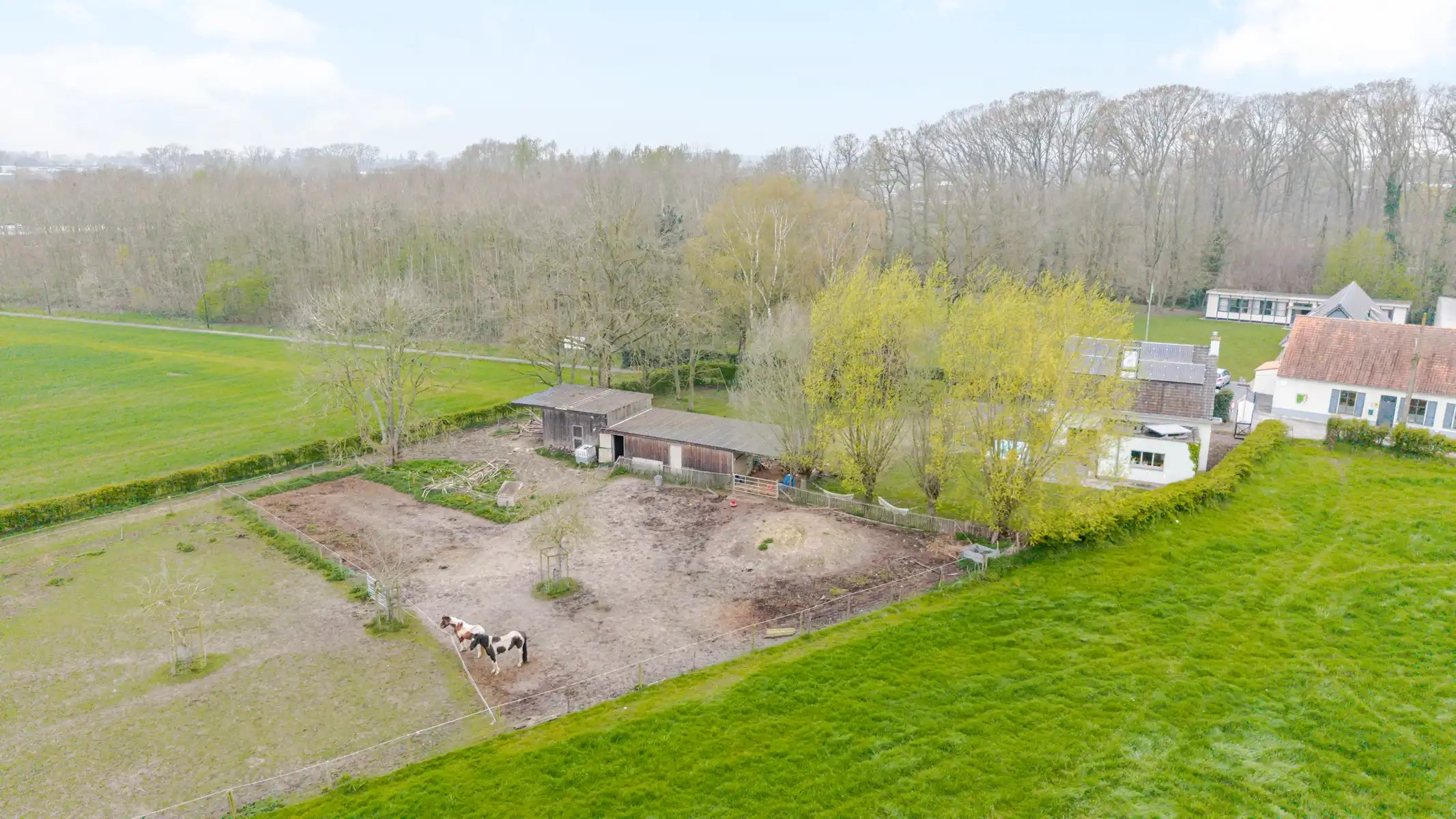 Vrijstaande woning met tuin en 4 slaapkamers foto 9