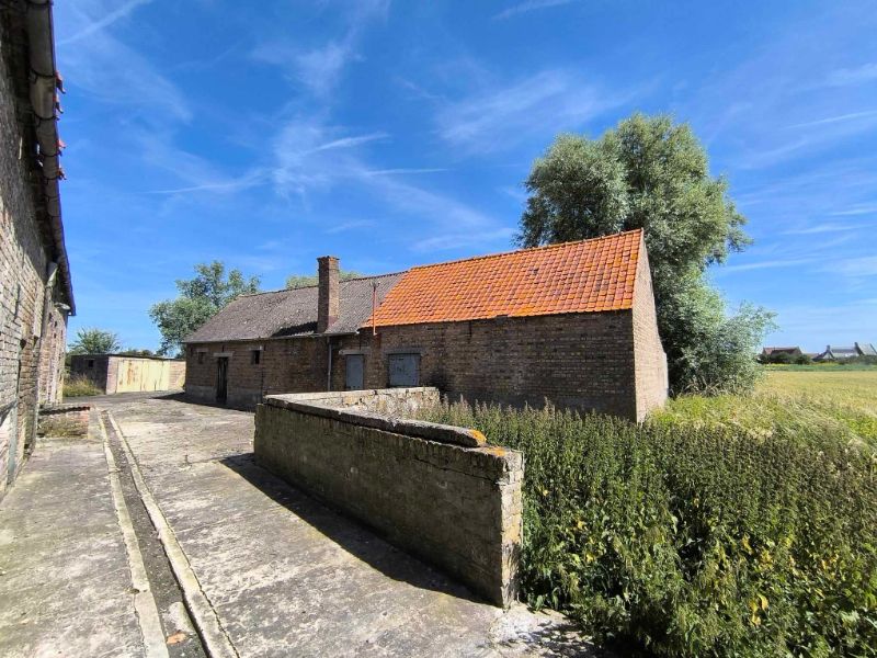 Hoofdfoto van de publicatie: Hoeve met bijgebouwen