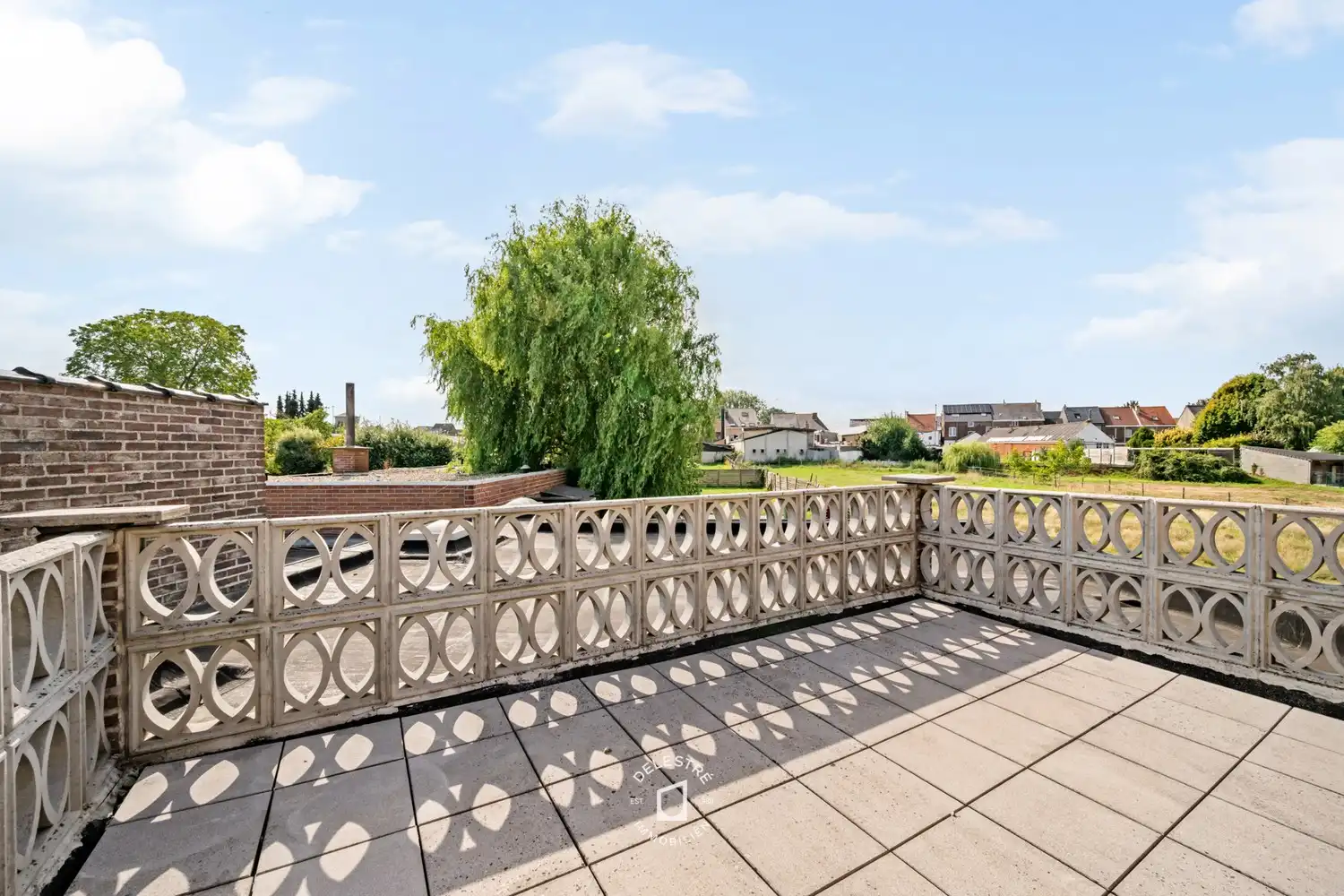 Uitzonderlijk ruime (handels) woning (300 m²) met atelier, dubbele garage en diepe tuin in Denderleeuw foto 5