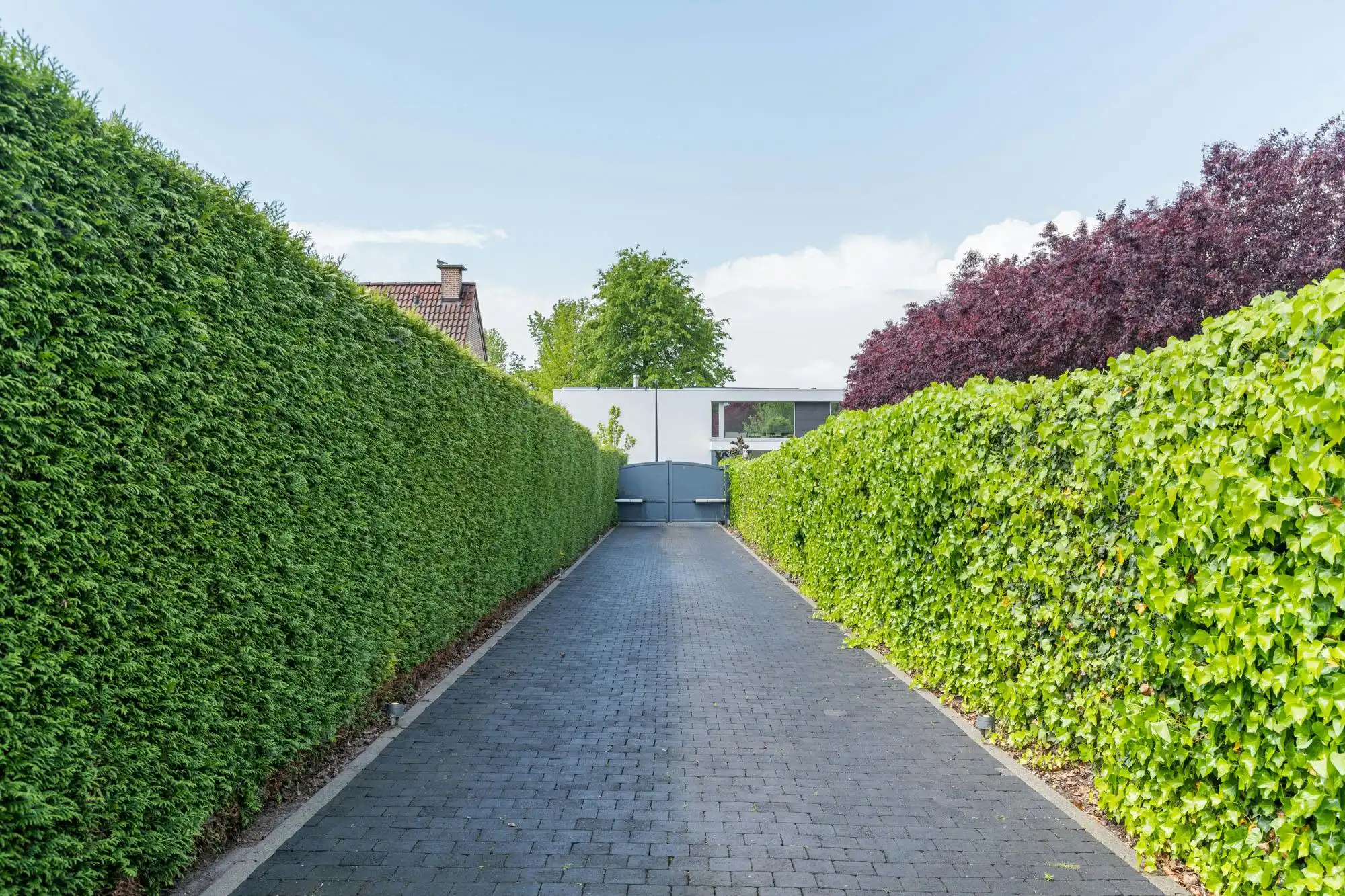 Exclusieve villa met  zwembad op een toplocatie in Wemmel foto 46