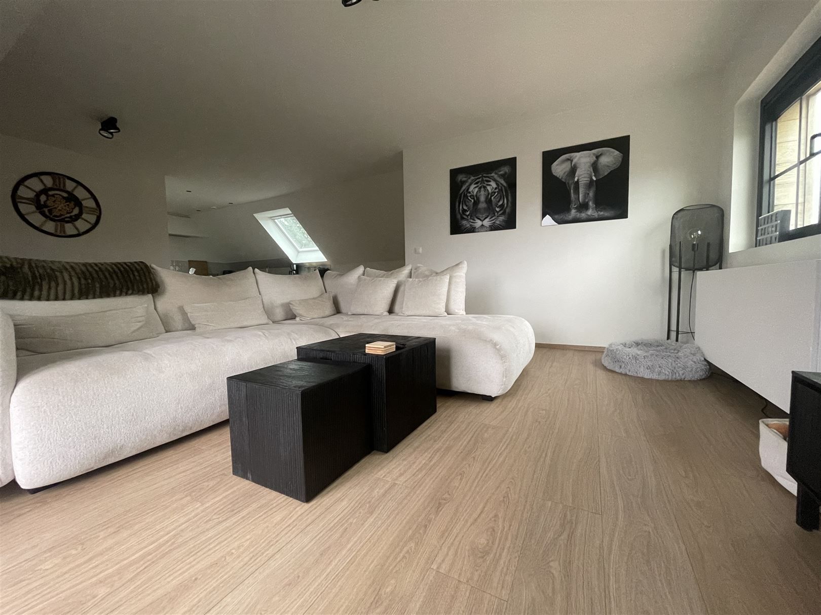Appartement foto 5
