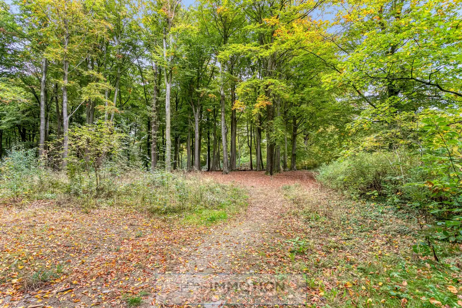 Appartement te koop aan het Kluisbos – wonen op de top van Mont-de-l’Enclus foto 15