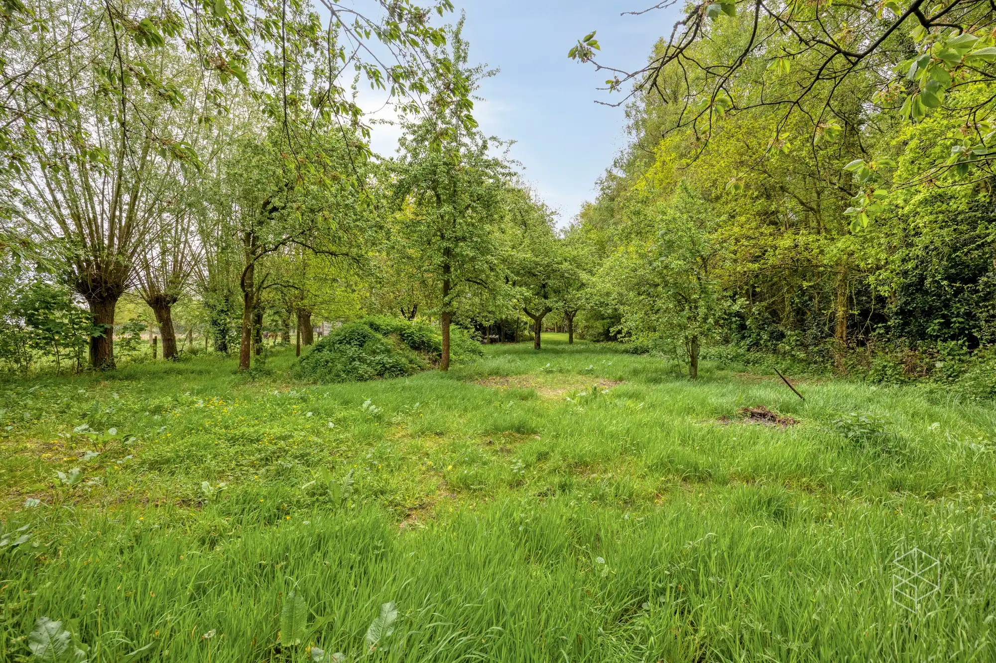 Karaktervolle villa met polyvalent bijgebouw, zwemvijver & aangelegde tuin met uitweg op 4.012m² foto 21