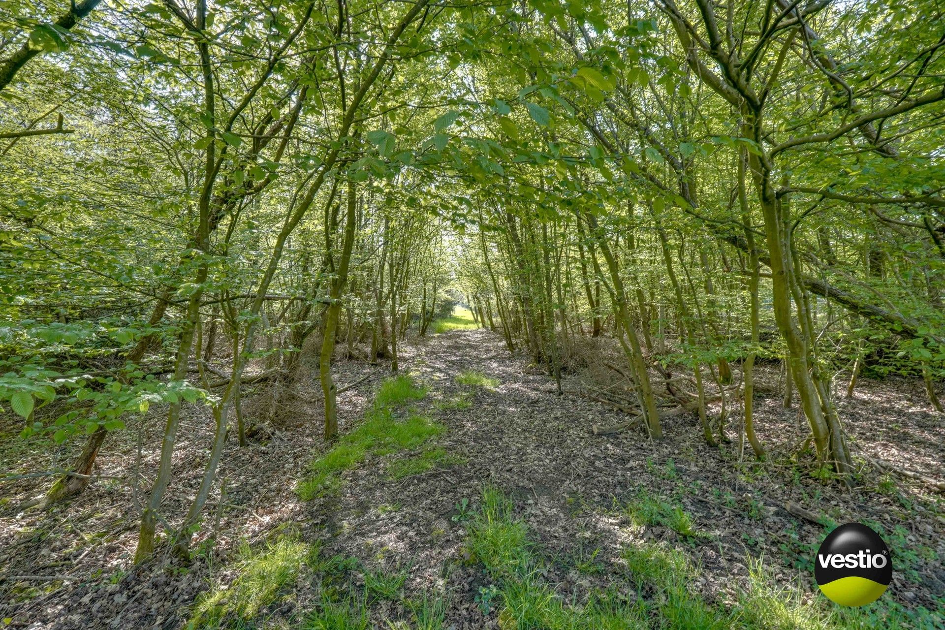 DEGELIJKE WONING MET WEILANDEN OP 1,7 HECTARE foto 14