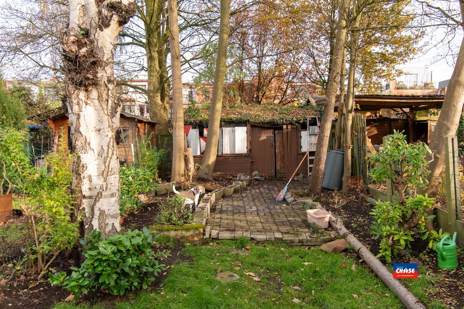 Huis met 4 slaapkamers en ruime tuin foto 3