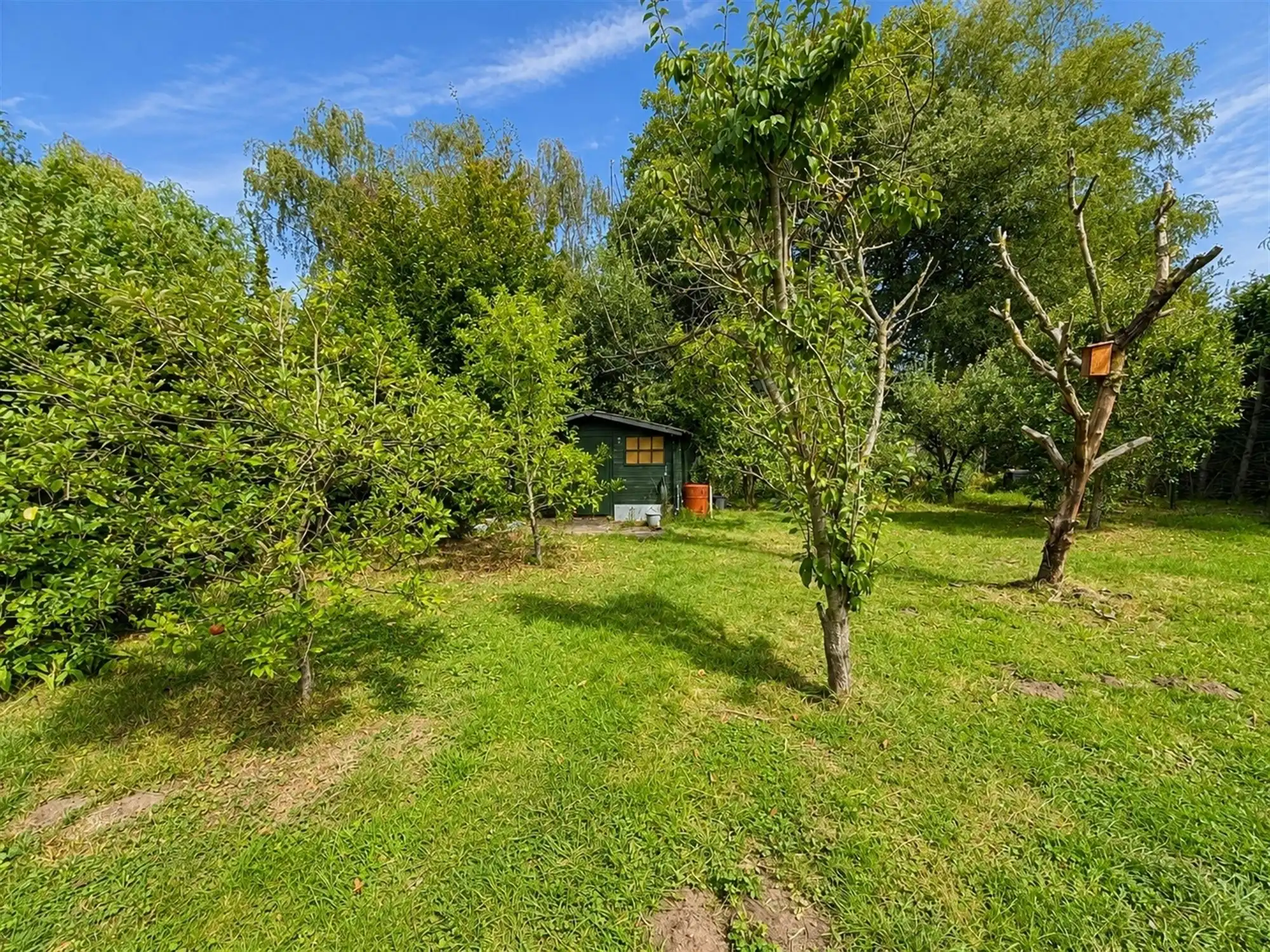 Gelijkvloers appartement met 400m² tuin foto 14