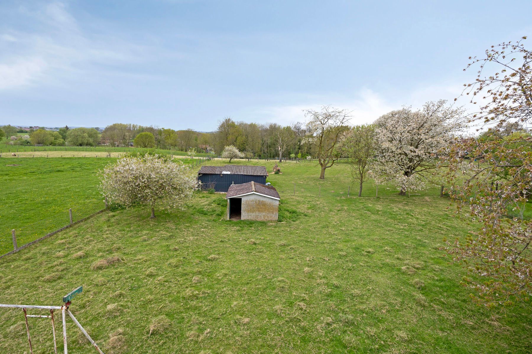 Ruime woning met potentieel op perceel van 13a70ca. foto 30