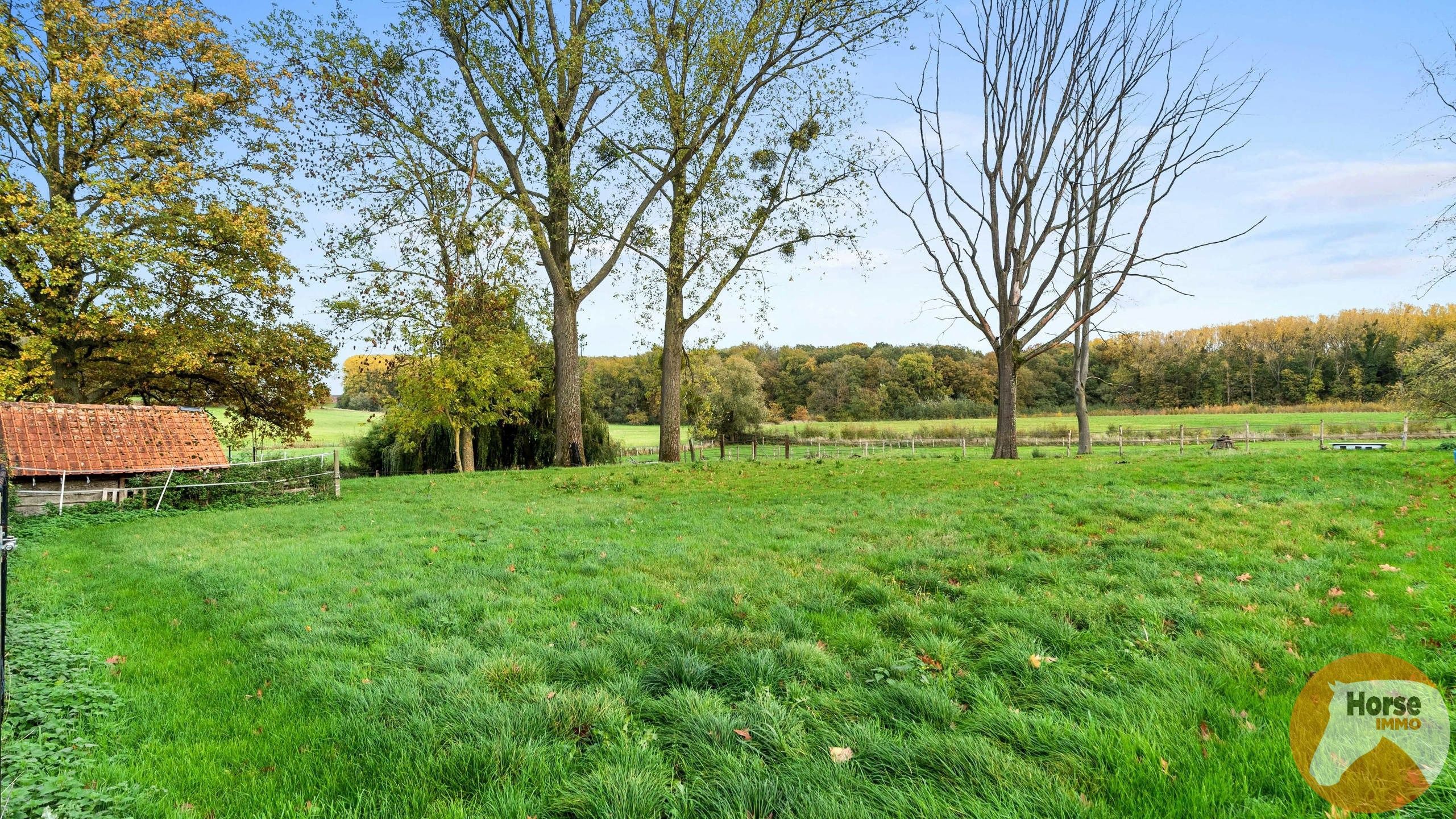 PEPINGEN - Charmante hoeve met prachtig uitzicht op 1,2ha foto 4