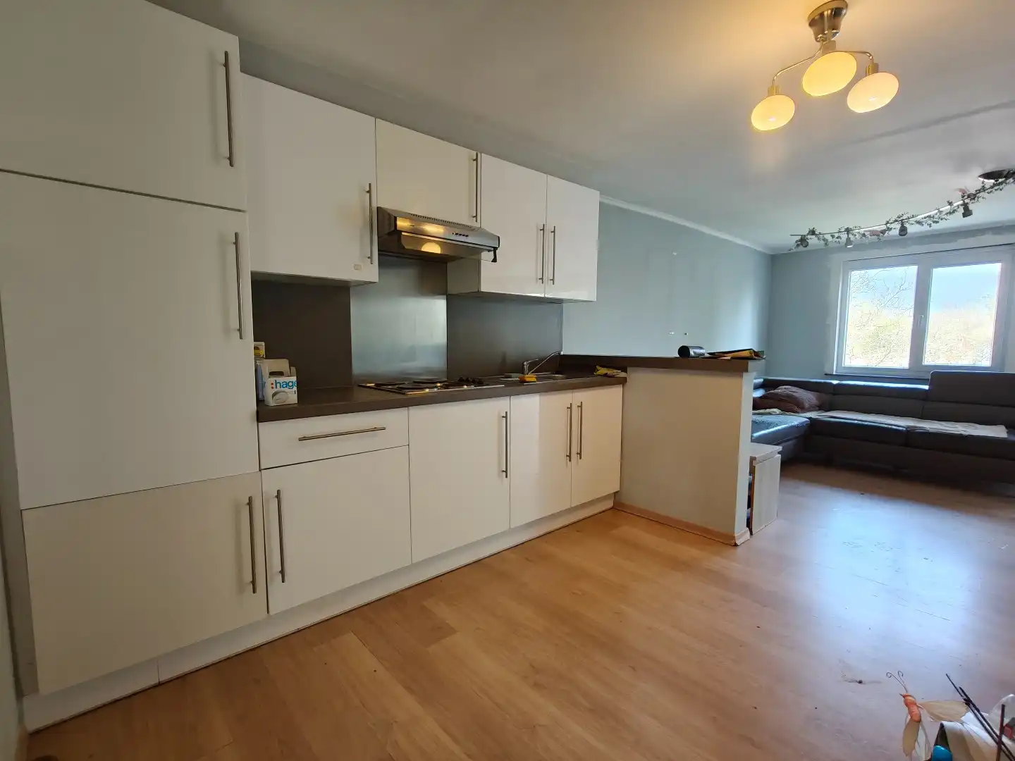 Dakappartement te Lokeren met garagebox foto 2