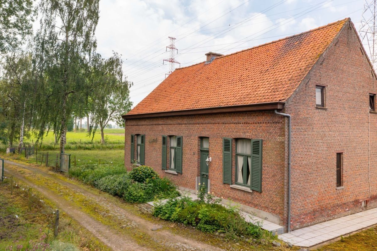 Centraal gelegen hoeve te koop te Kruibeke (Bazel) op circa 1 ha foto 3