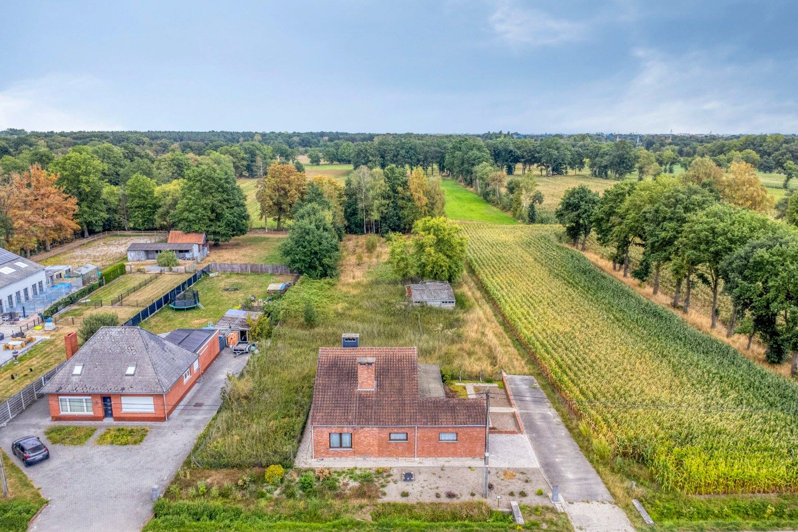 Woning met 3 slaapkamers op 3.363 m², landelijk gelegen te Olen ! foto 5
