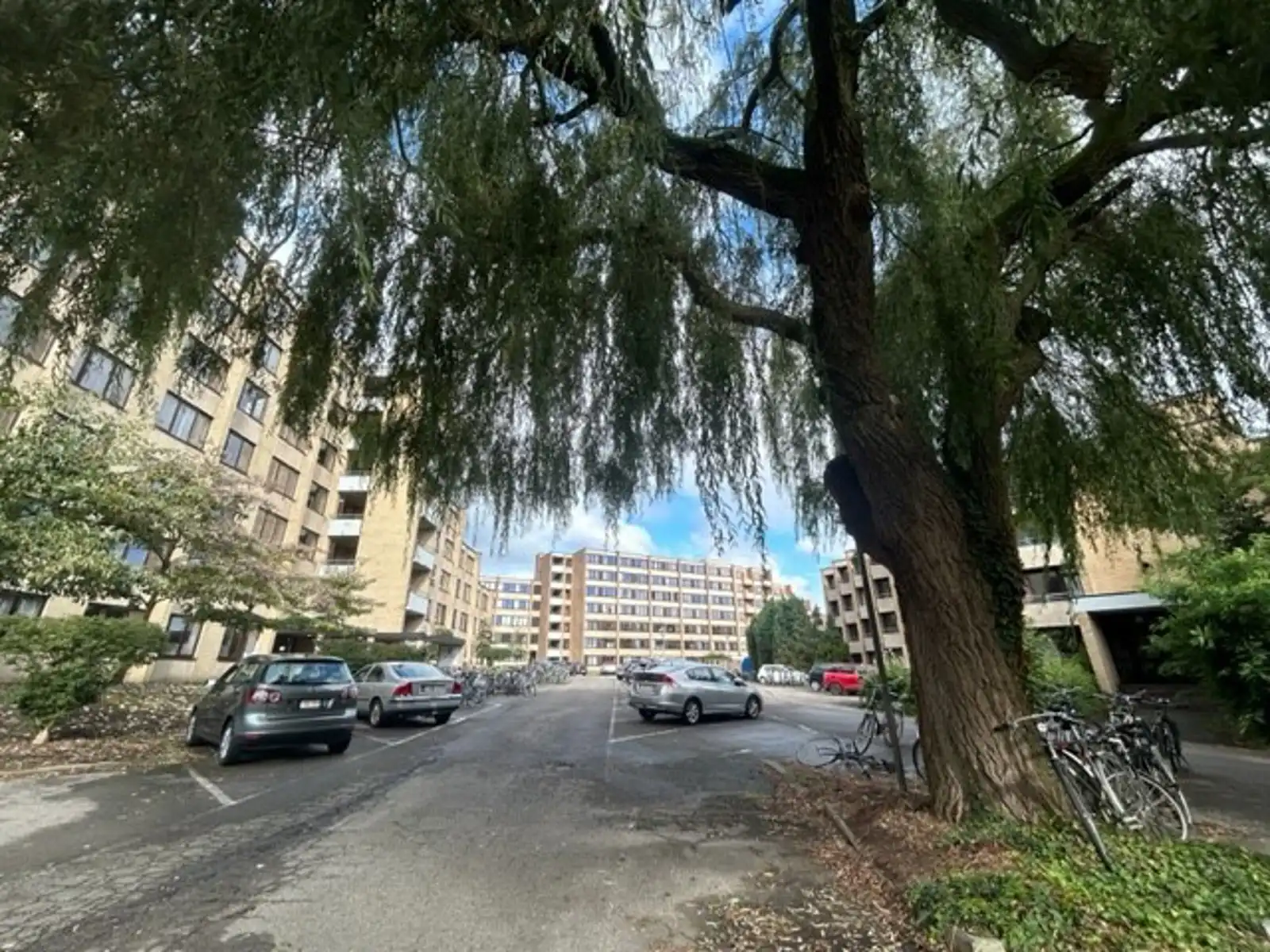 Eenvoudig maar revolutionair studeren foto {{pictureIndex}}