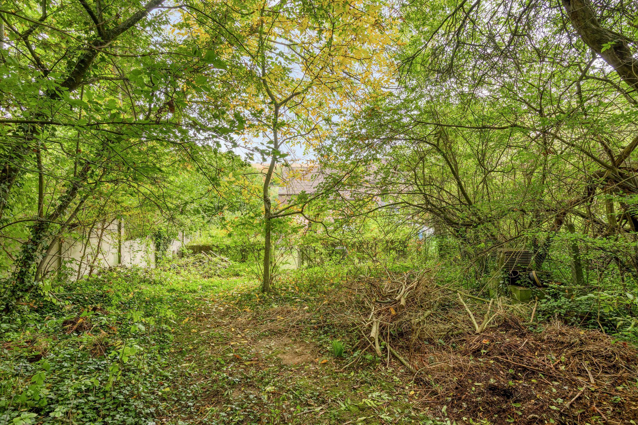 Wonen in het groene Hoegaarden: charmant, omringd door rust foto 29