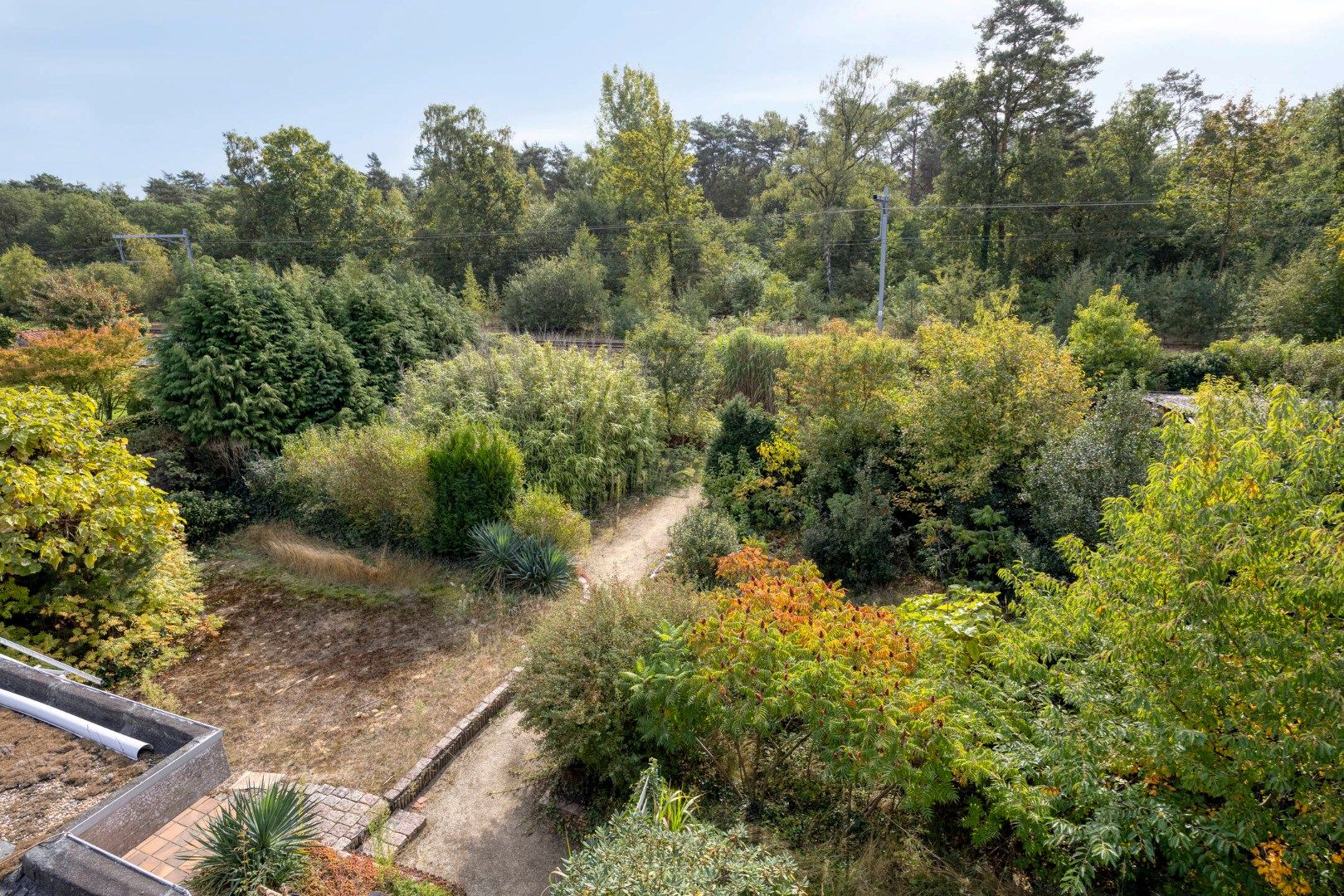 Gunstig gelegen te renoveren woning op mooi perceel van 16a07ca ! foto 30