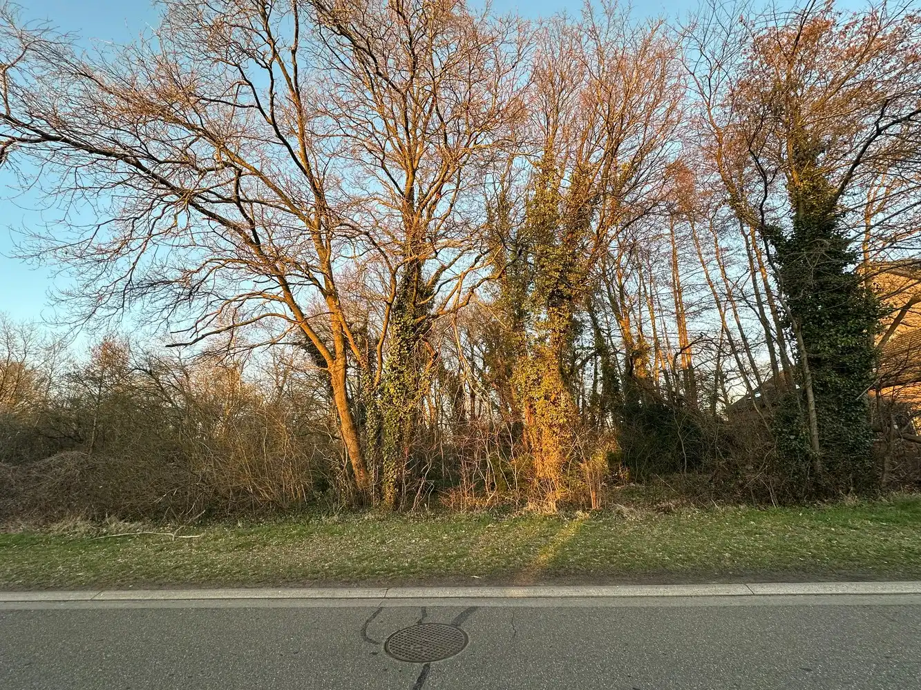 Perceel grond in woonuitbreidingsgebied te koop foto 4