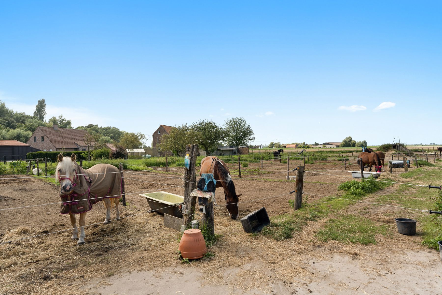 Charmante paardenmanège met woonruimte en gezellig café in Varsenare foto 9