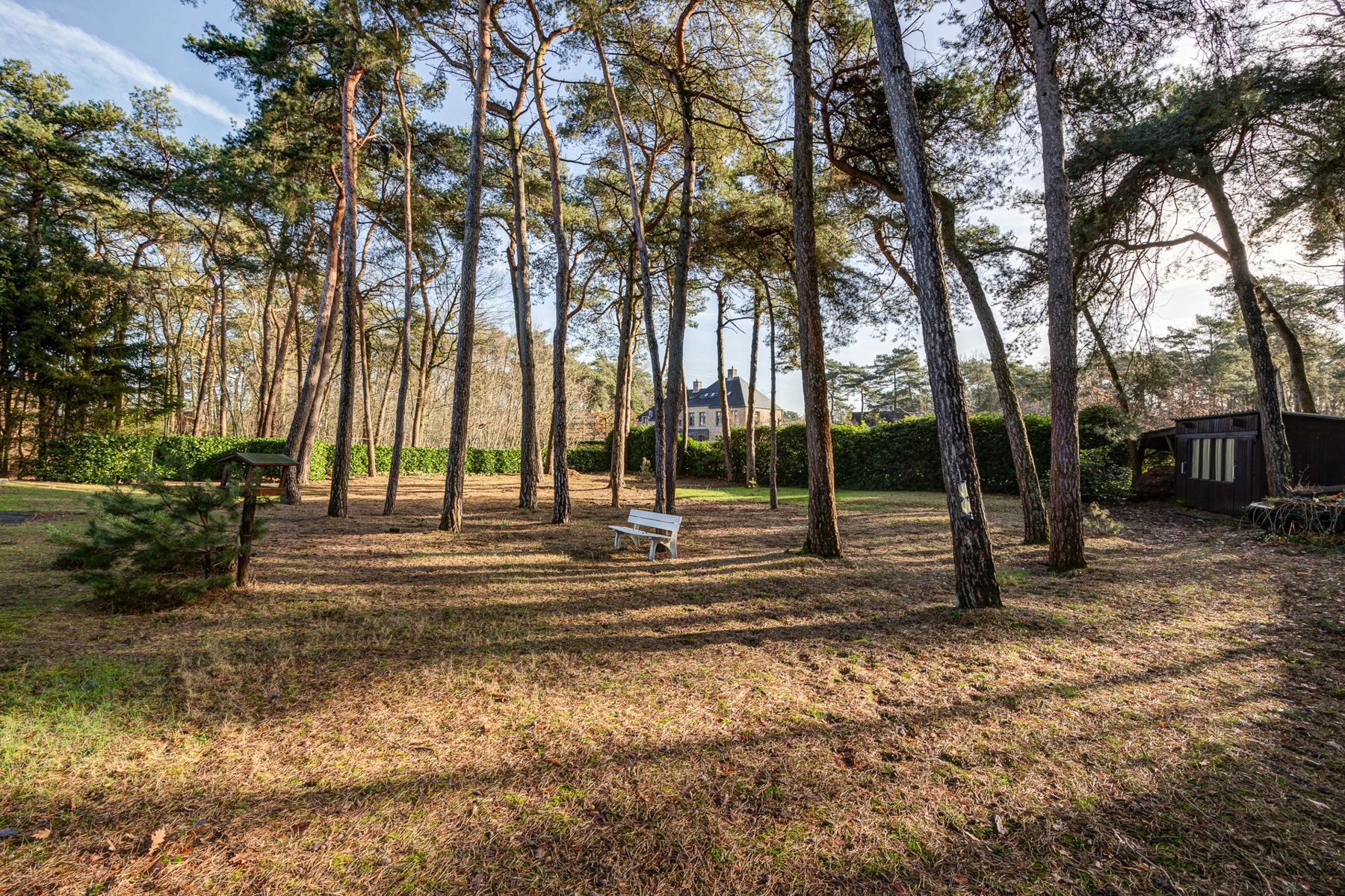 Laagbouwvilla met 3 slaapkamers op perceel grond van 1.831m². Zuidoost georiënteerd.  foto 20
