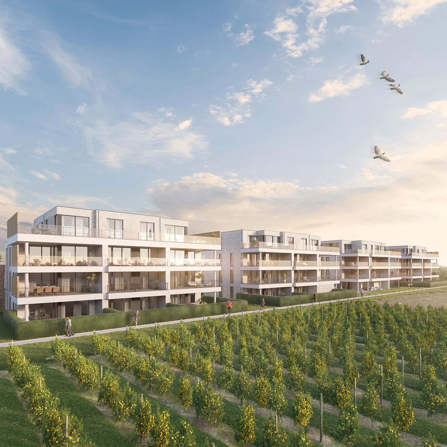 Laatste appartement met zuidtuin aan de boomgaarden!  foto 2