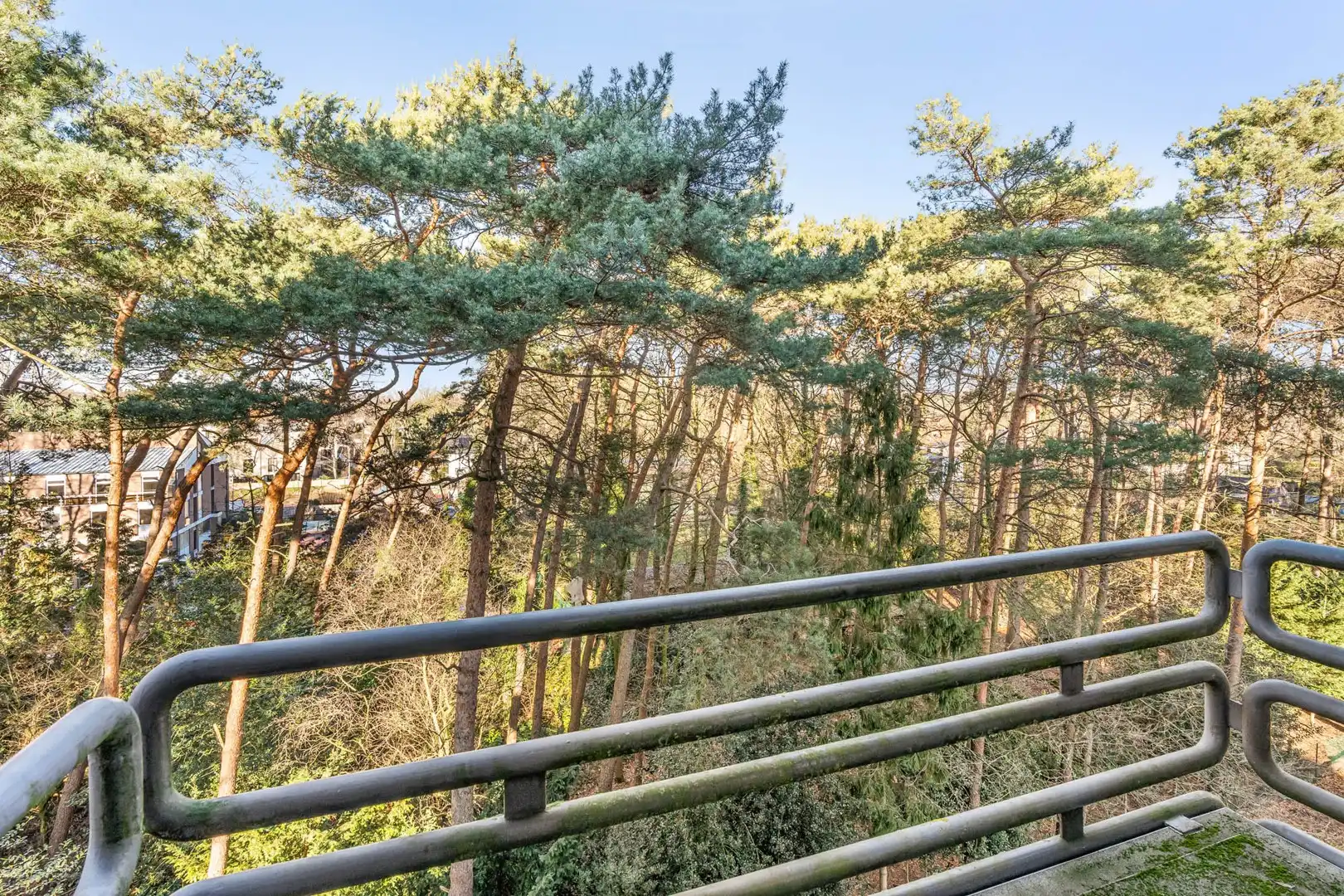 Ruim en lichtrijk appartement met 3 slaapkamers, balkons, garage en berging in Genk foto 12