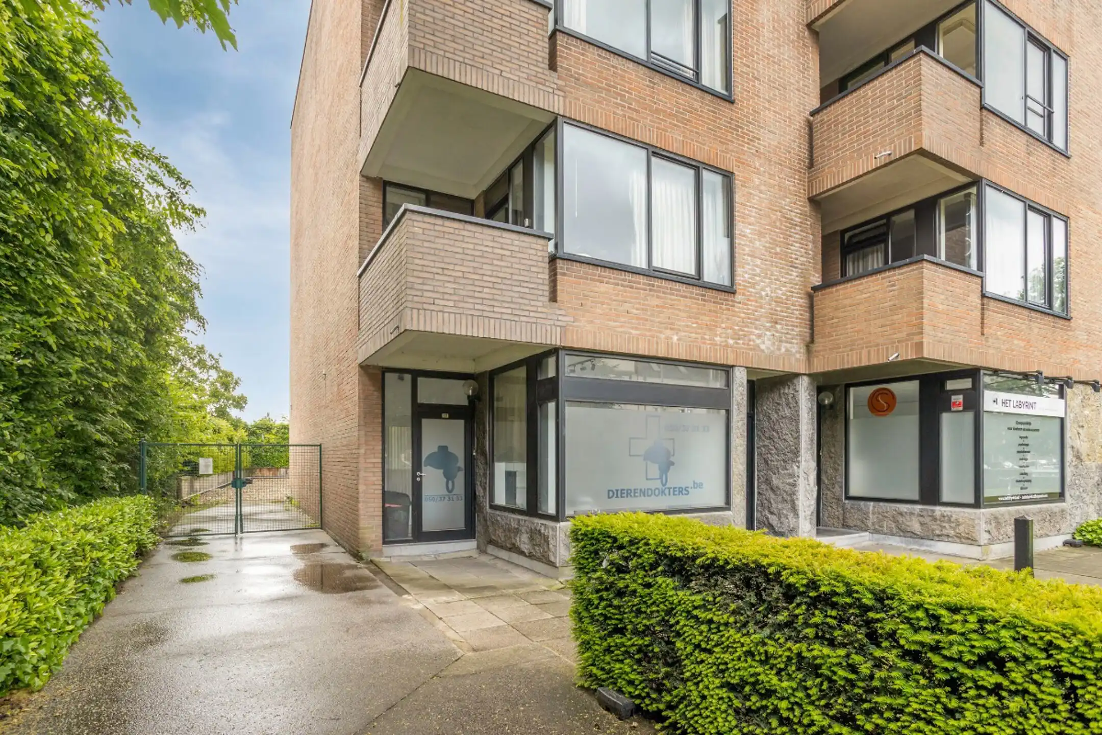Gelijkvloerse handelsruimte op commerciële toplocatie foto 2