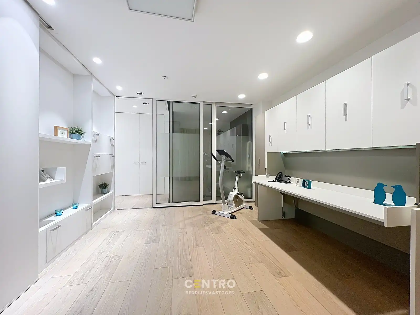 TOONZAAL van 1.000m² met optioneel MAGAZIJN en private PARKING vlak bij de RING van Poperinge ! foto 12