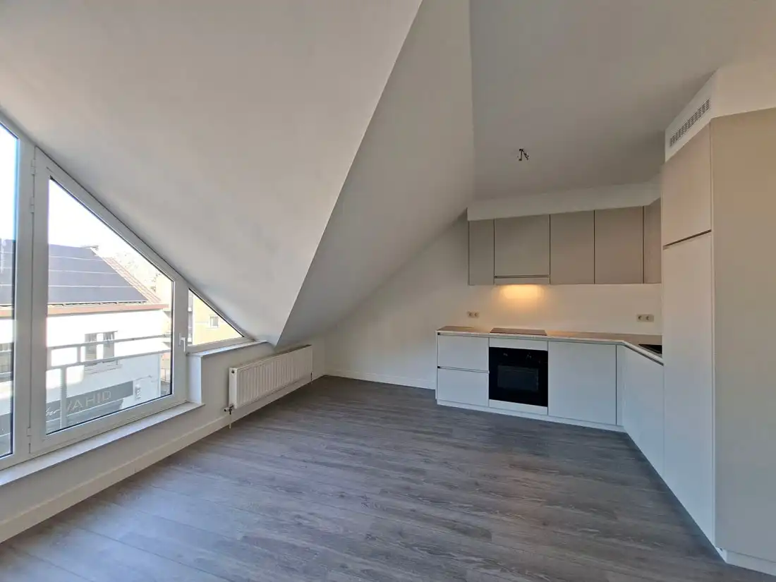 Knus dakappartement met twee slaapkamers foto 4