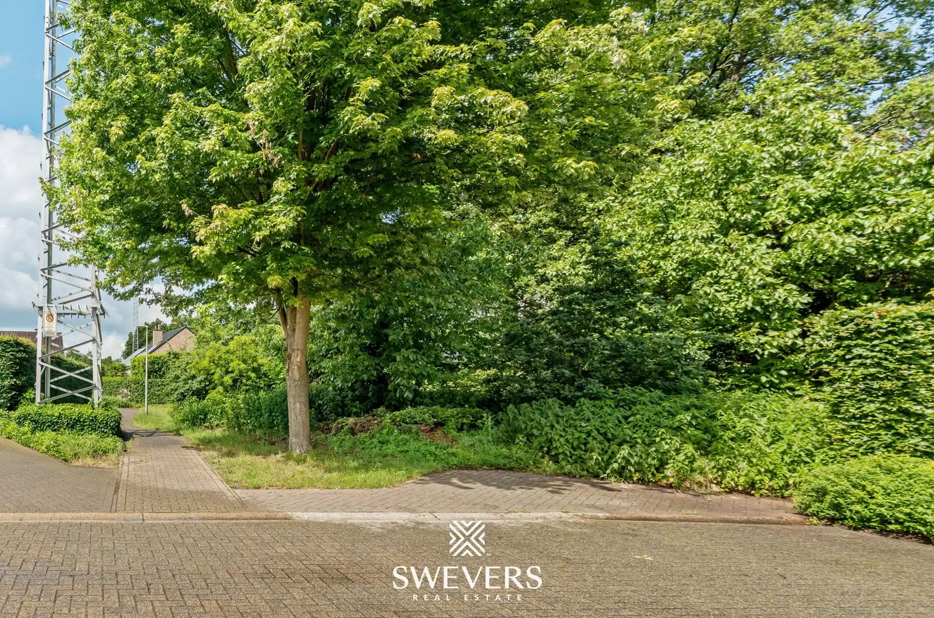 Unieke bouwkans in het groen: 1.188 m² in doodlopende straat in Zolder foto 2