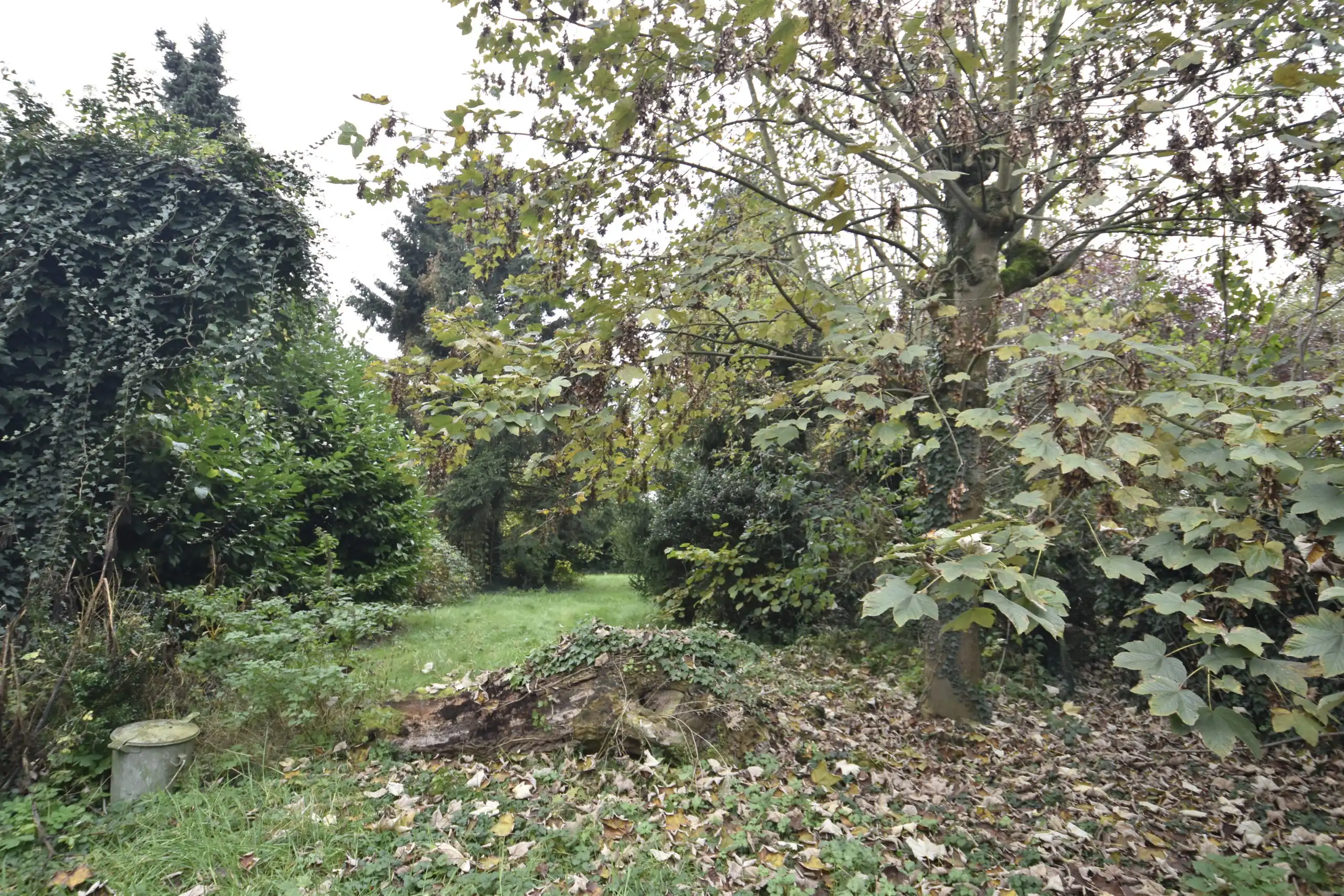 Bouwgrond met af te breken woning & stallen – Landelijk gelegen in Nieuwkerken-Waas foto 4