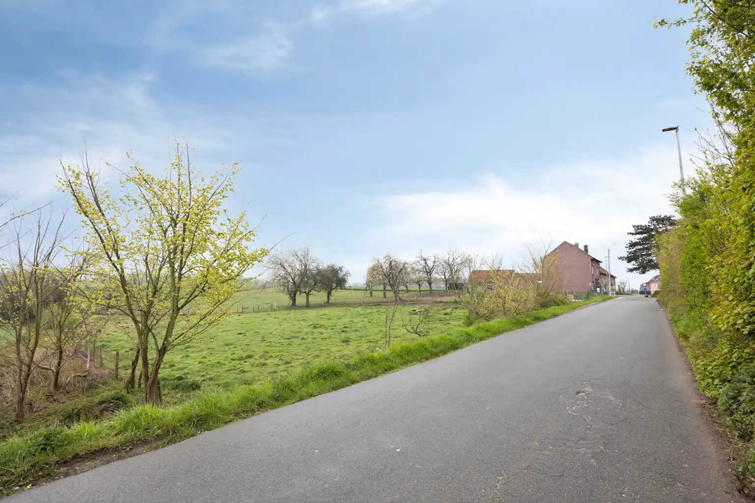 Instapklare droomvierkantshoeve met boomgaard, weilanden  foto 2