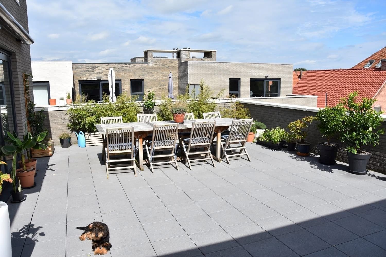 Appartement met 2 slpks en ruim terras, rustig gelegen in Achterbos centrum ! foto 13