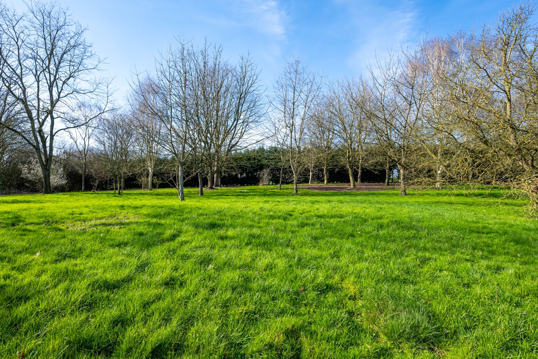 Unieke vierkantshoeve met woonhuis, kantoren en loodsen foto 26