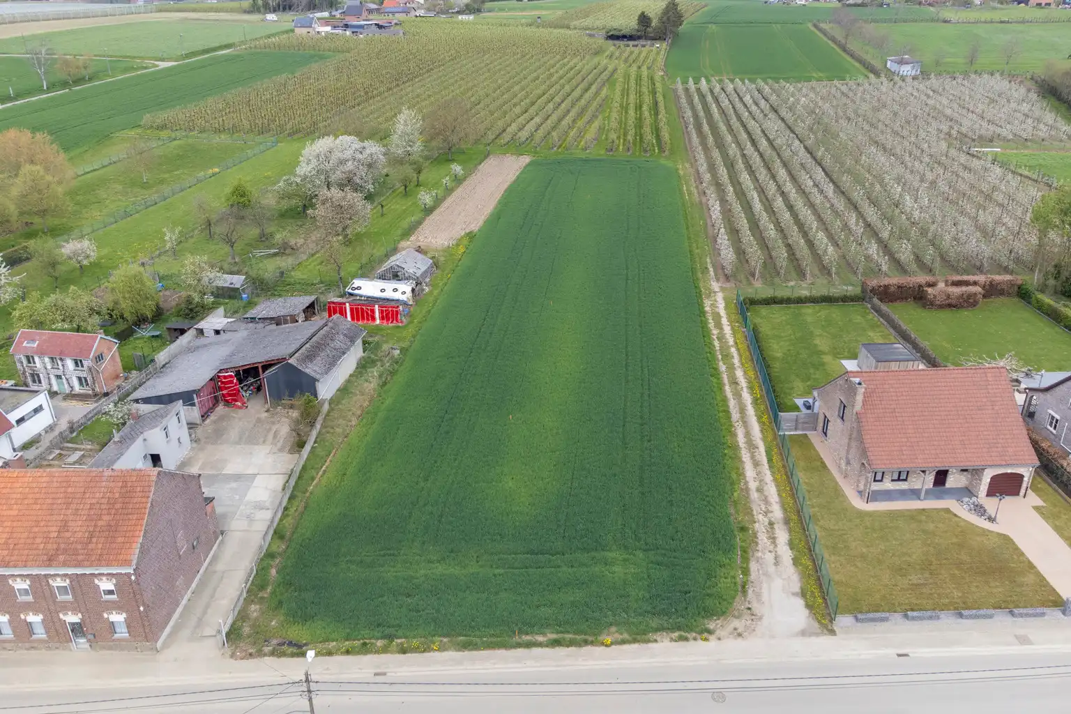 MOOI GELEGEN BOUWGRONDEN IN GLABBEEK (LOT2) foto 4