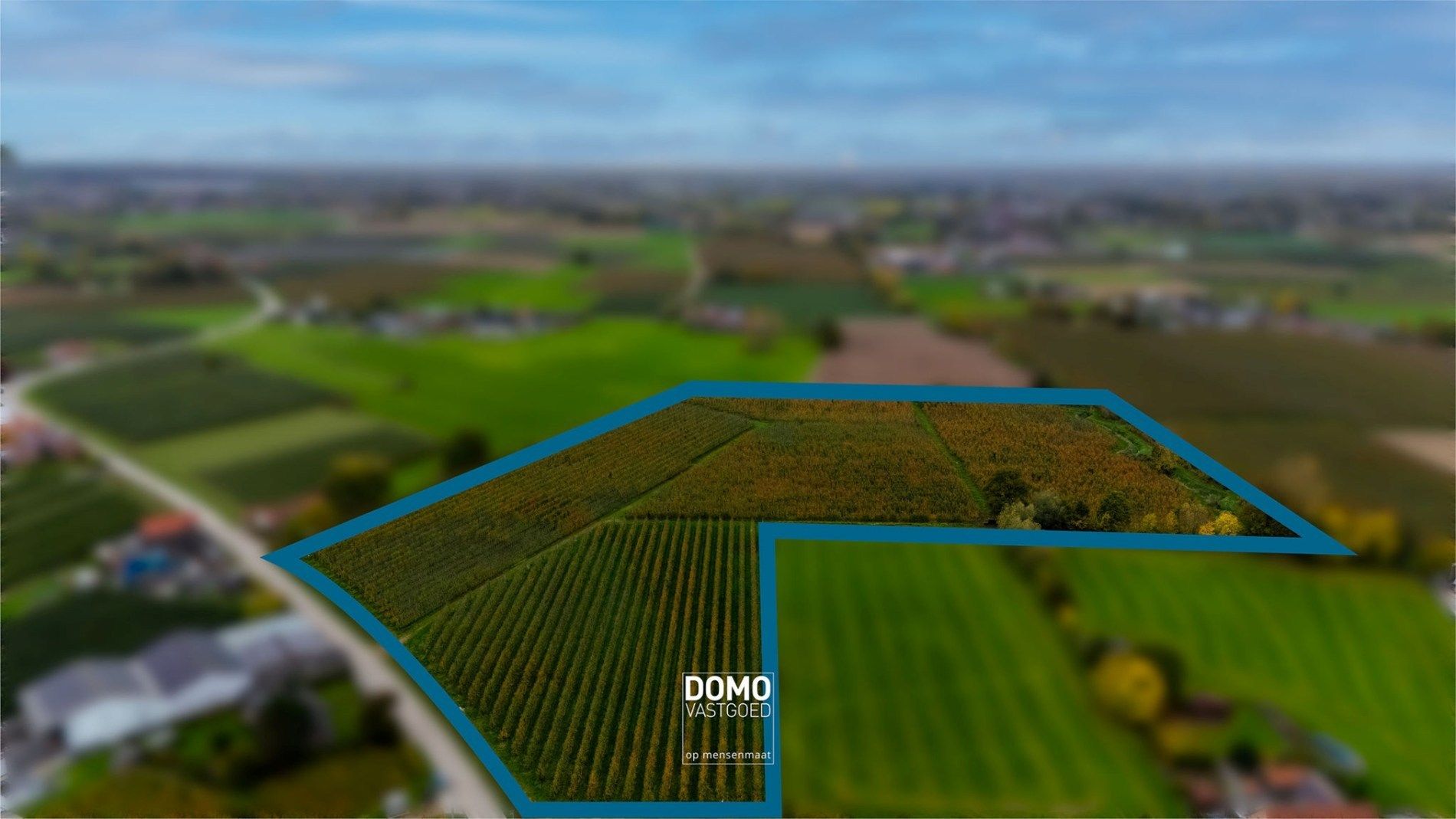 AGRARISCH GELEGEN PERCELEN BESTEMD ALS WEILAND EN BOOMGAARD TE KOOP IN HERK-DE-STAD foto {{pictureIndex}}