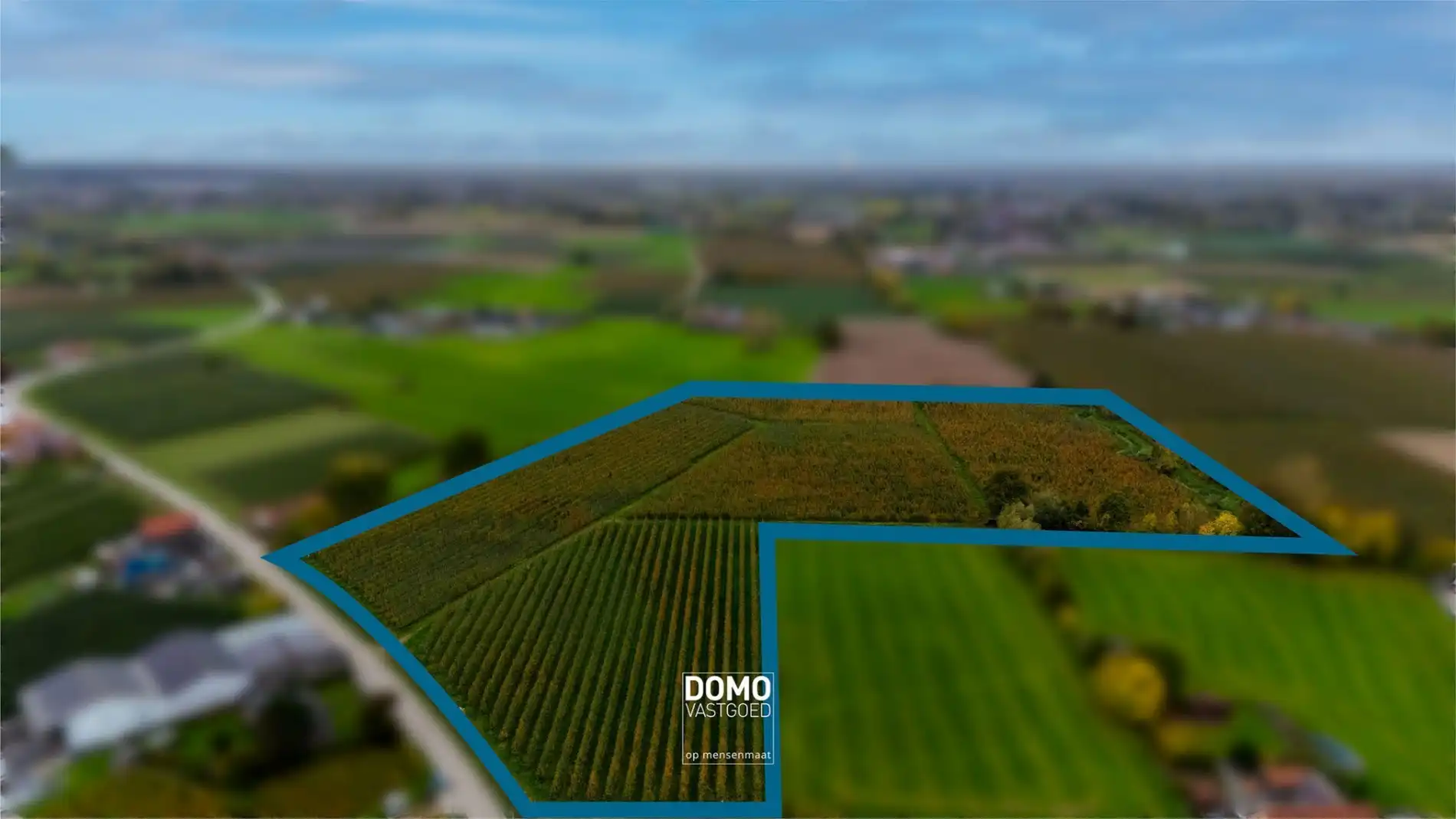 AGRARISCH GELEGEN PERCELEN BESTEMD ALS WEILAND EN BOOMGAARD TE KOOP IN HERK-DE-STAD foto {{pictureIndex}}