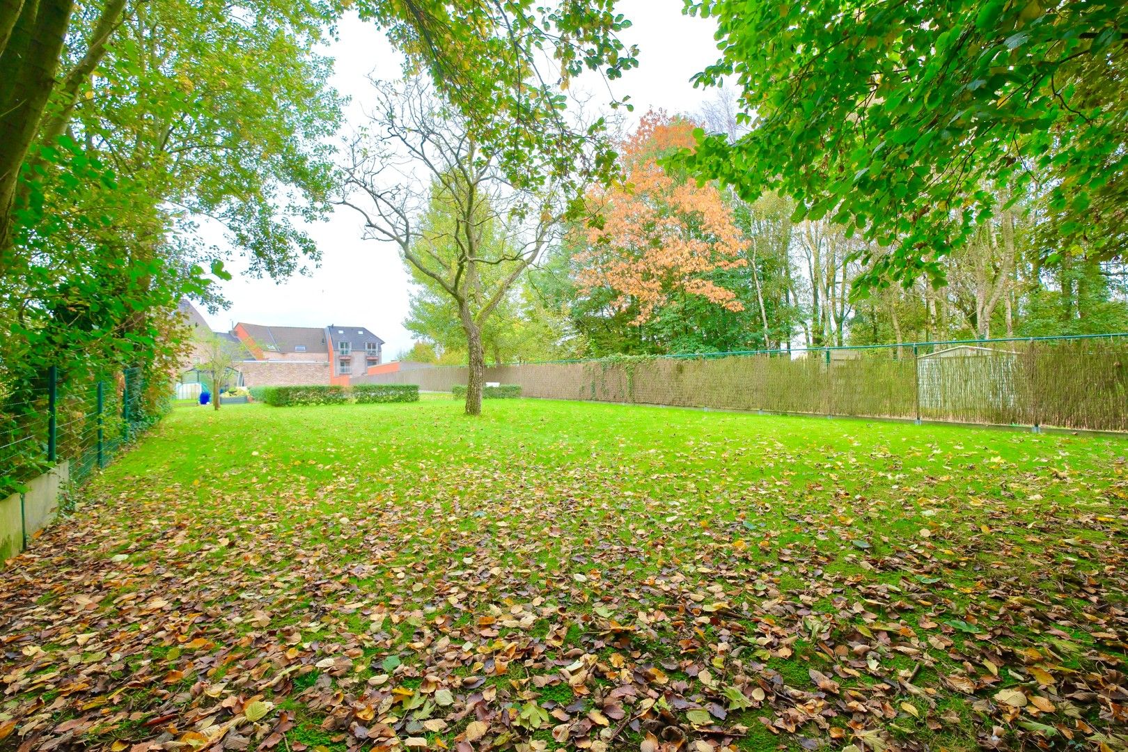 Lichtervelde - Instapklaar HORECAPAND met terras en parkeerplaats foto 17