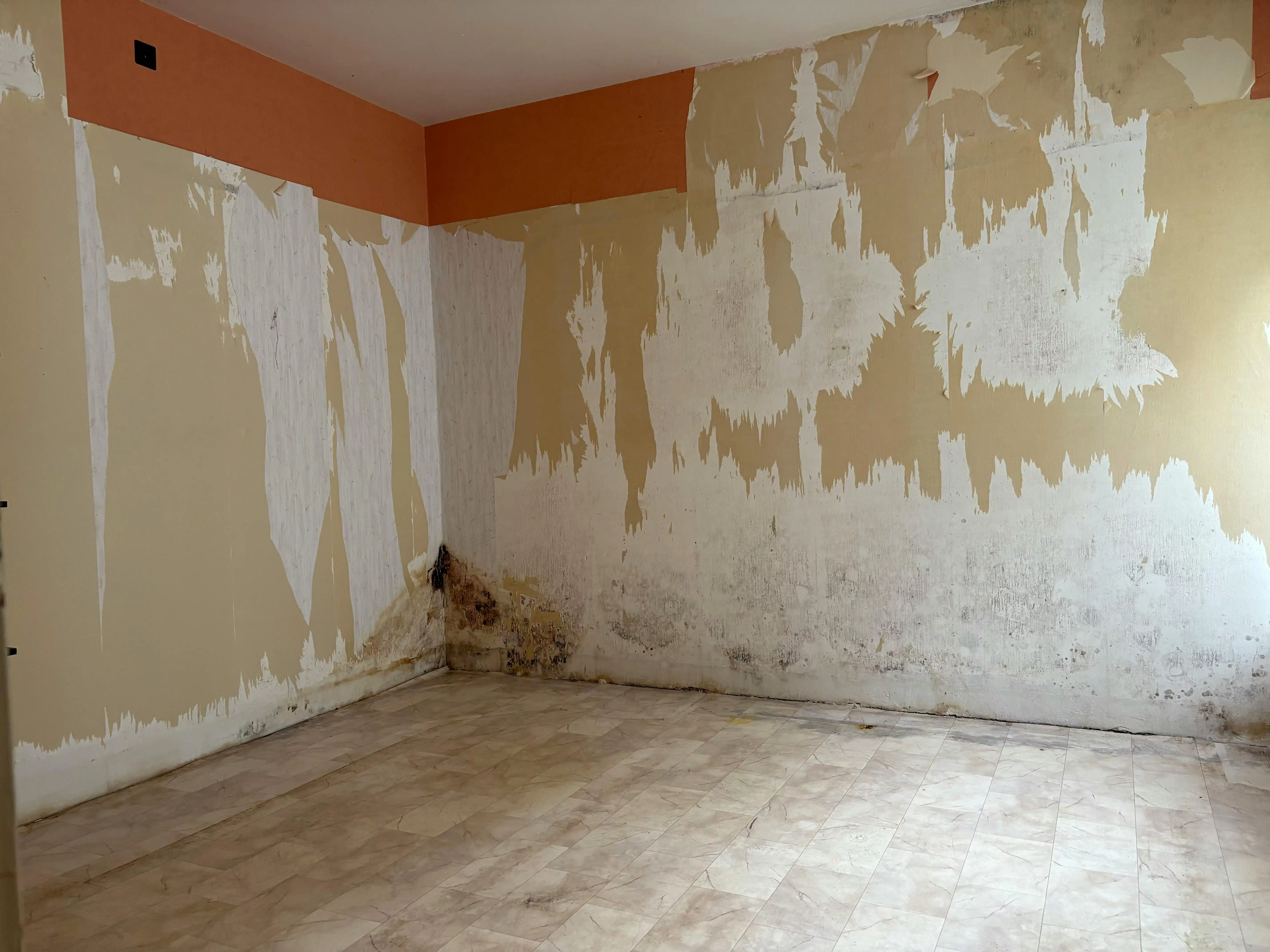 Te renoveren te koop met 4 à 5 slaapkamers te Essen-Wildert! foto 22