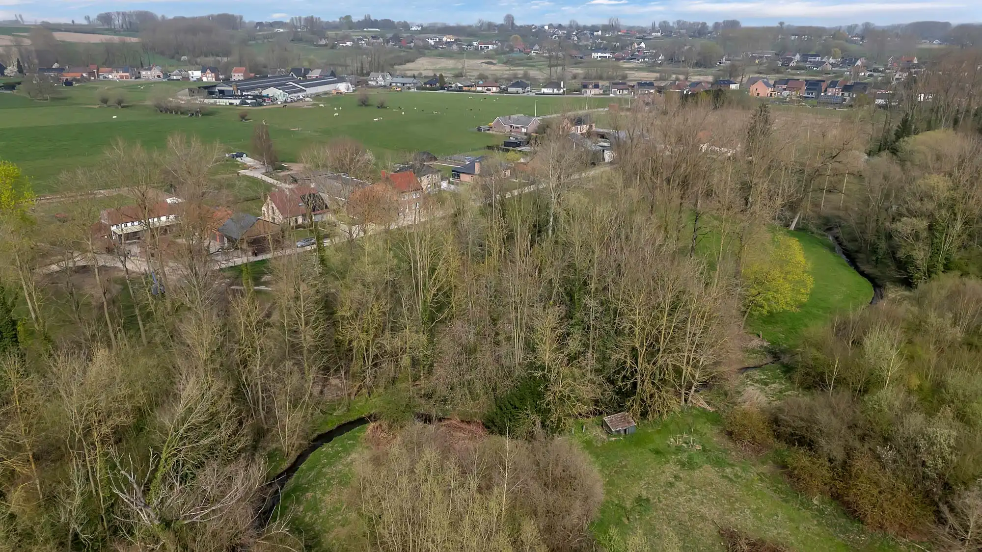 Perceel bosgrond op rustige locatie foto 5